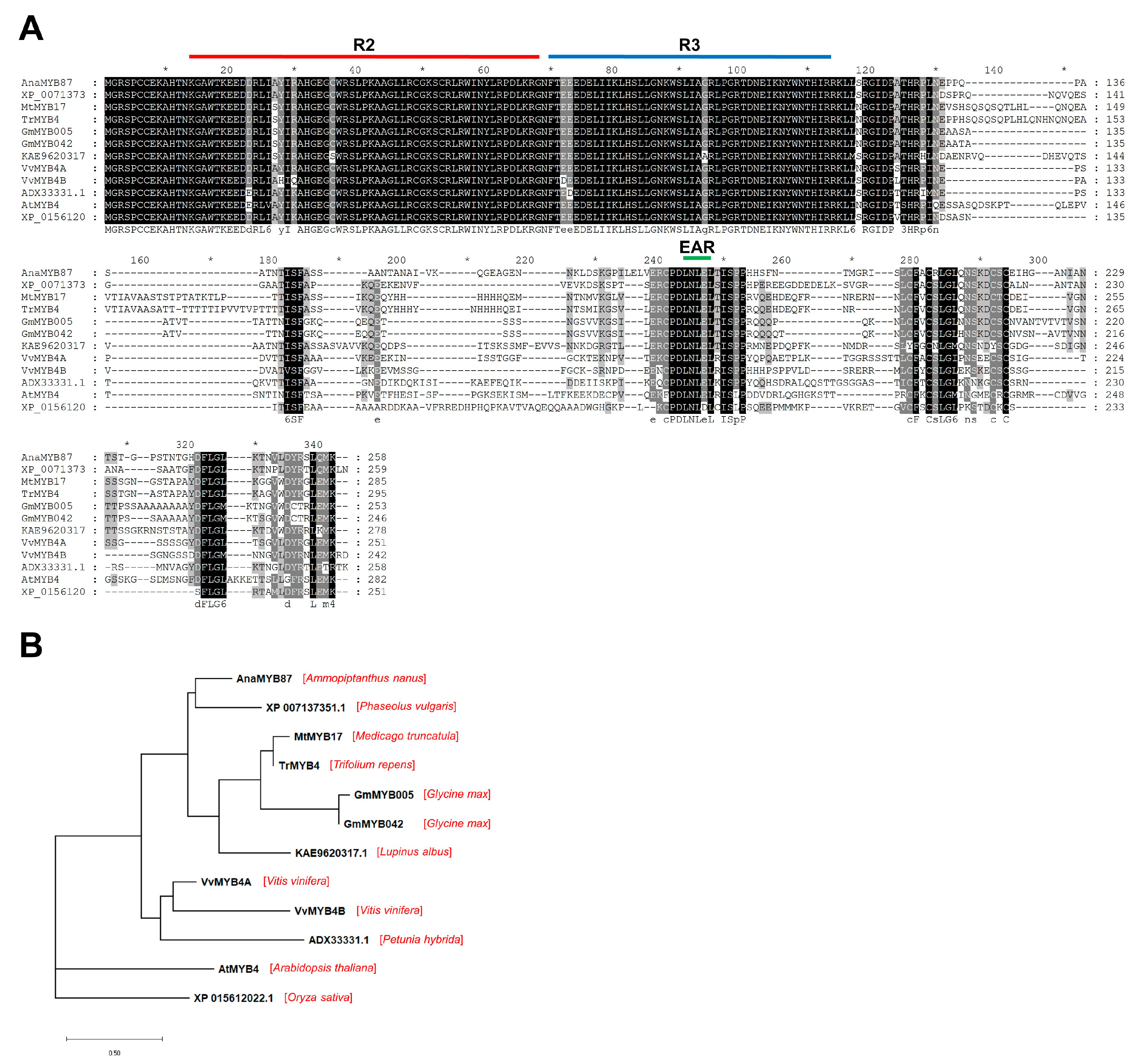 Biomolecules 13 01721 g010