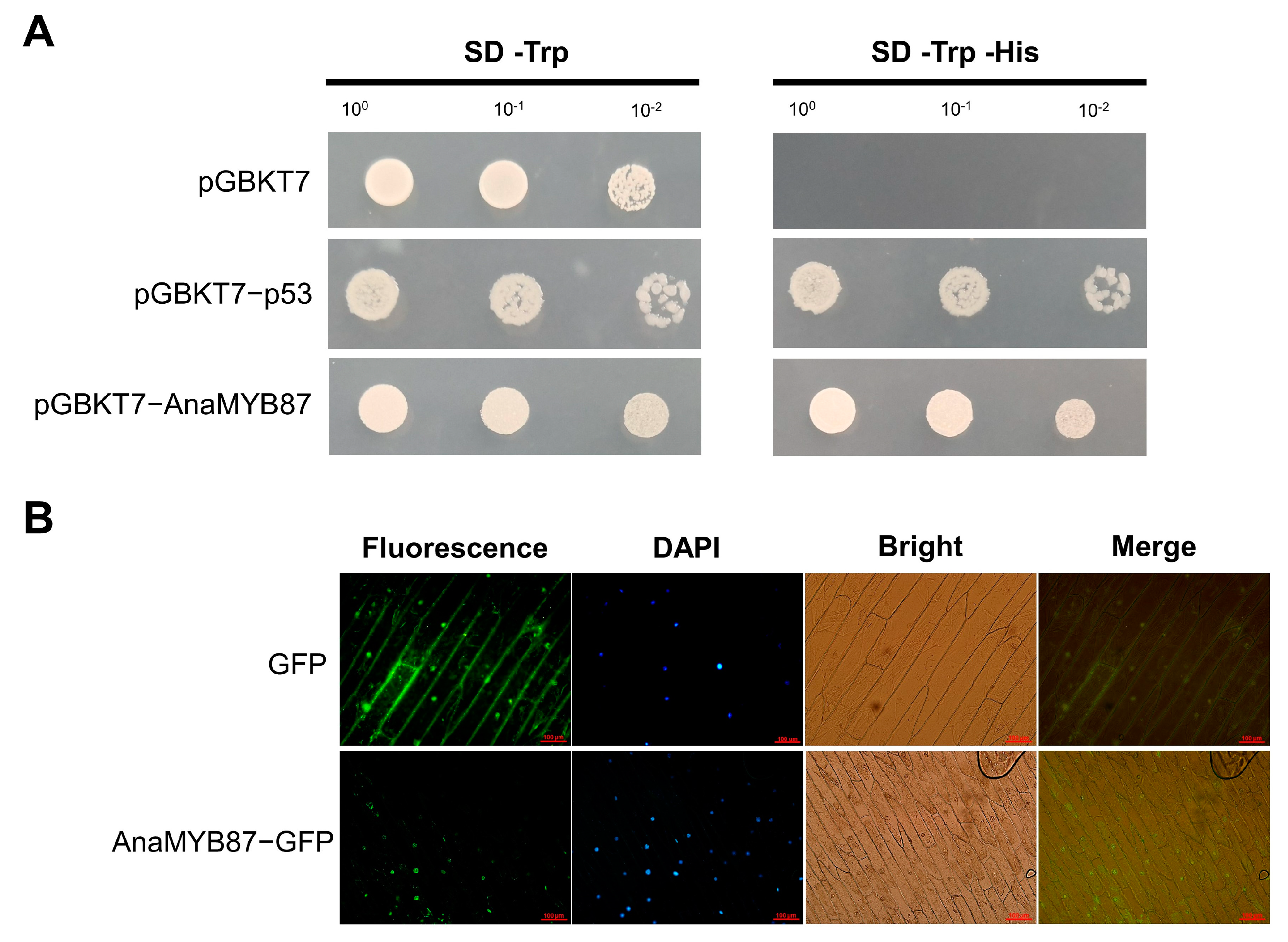 Biomolecules 13 01721 g011