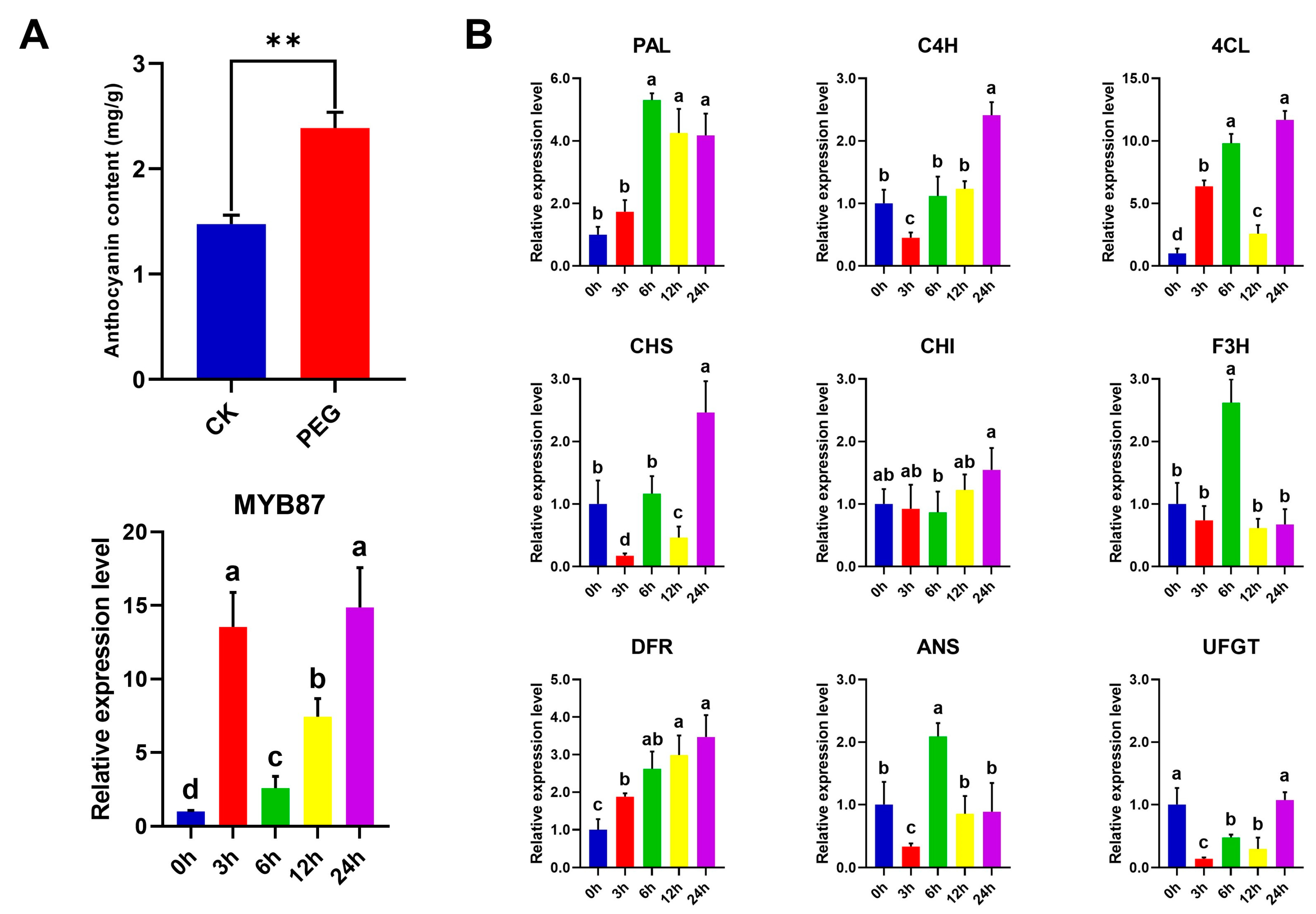 Biomolecules 13 01721 g013