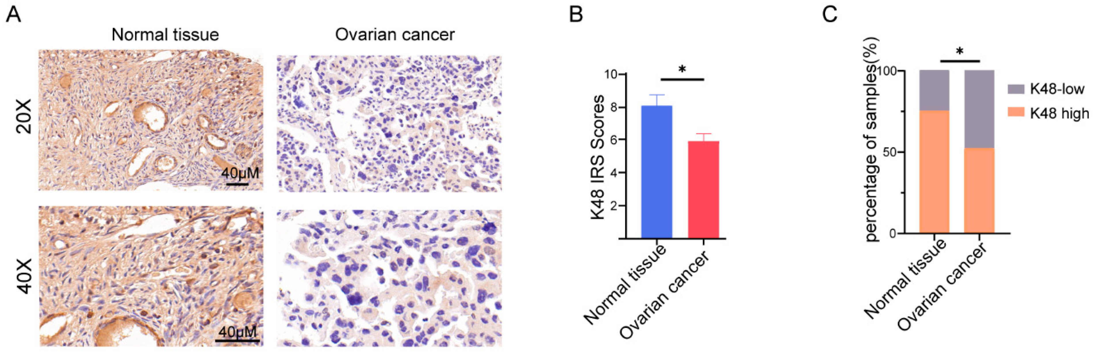 Biomolecules 13 01724 g001
