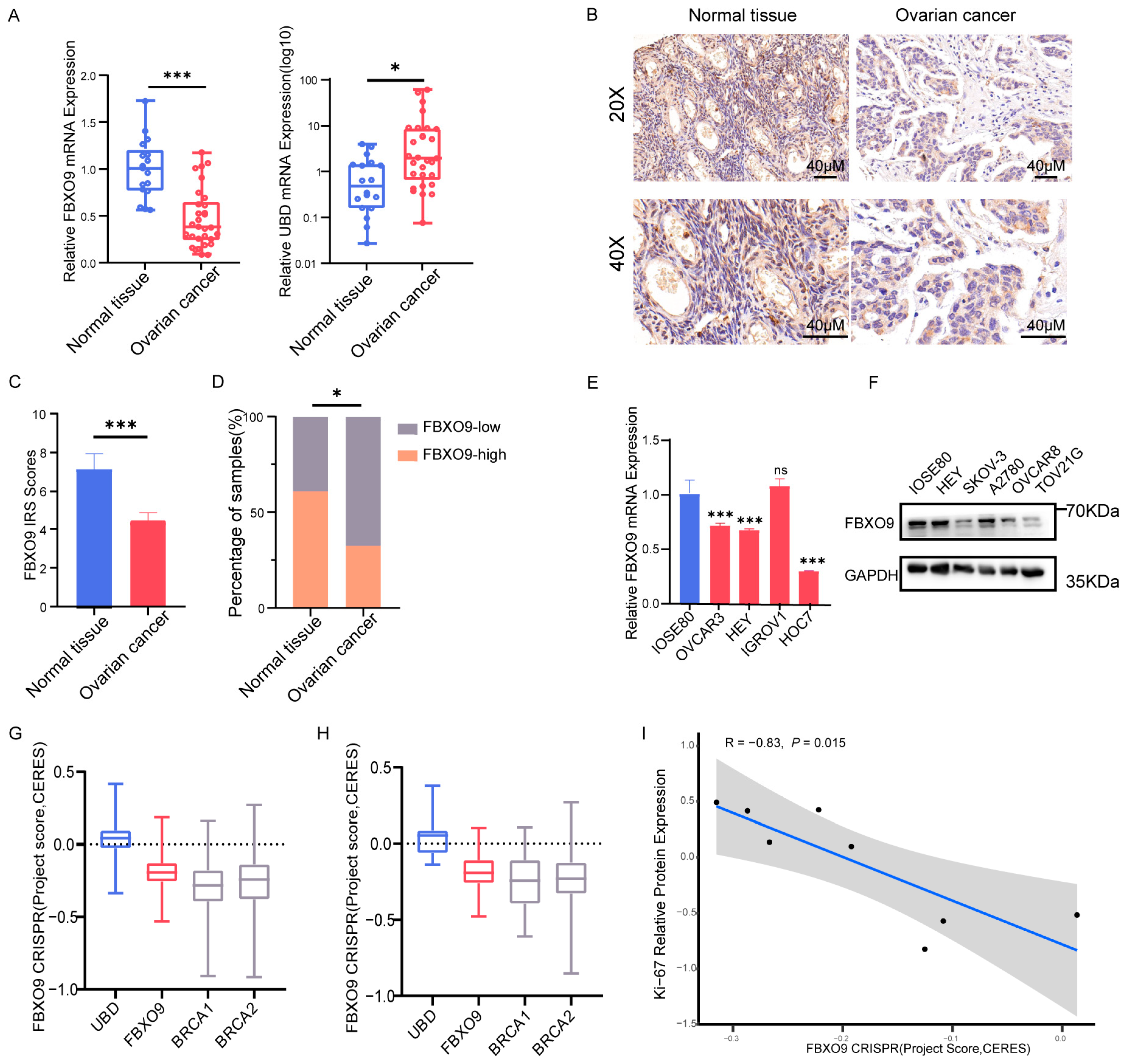 Biomolecules 13 01724 g009