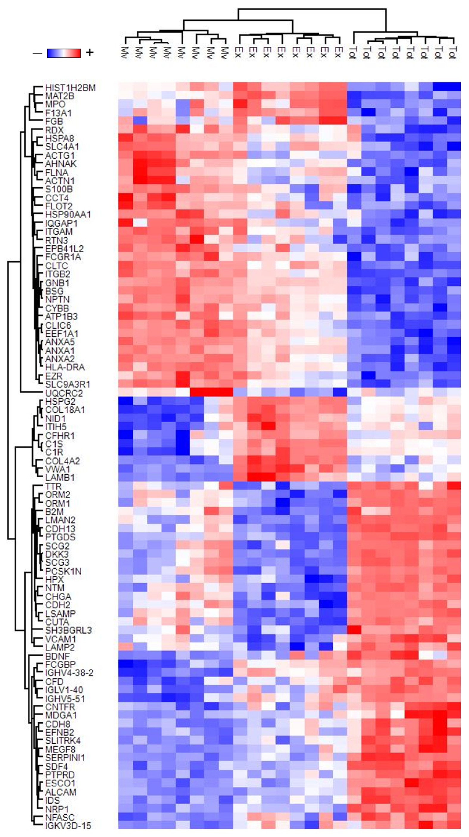 Biomolecules 13 01730 g002 Biomolecules 13 01730 g002