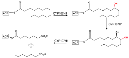 Biomolecules 13 01733 i001