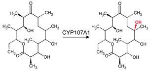 Biomolecules 13 01733 i002