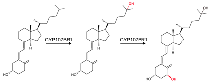 Biomolecules 13 01733 i010