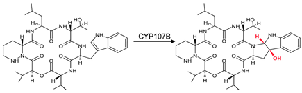 Biomolecules 13 01733 i012