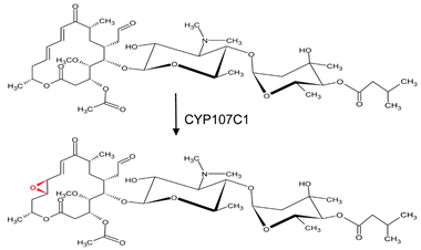 Biomolecules 13 01733 i013