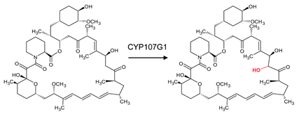 Biomolecules 13 01733 i014