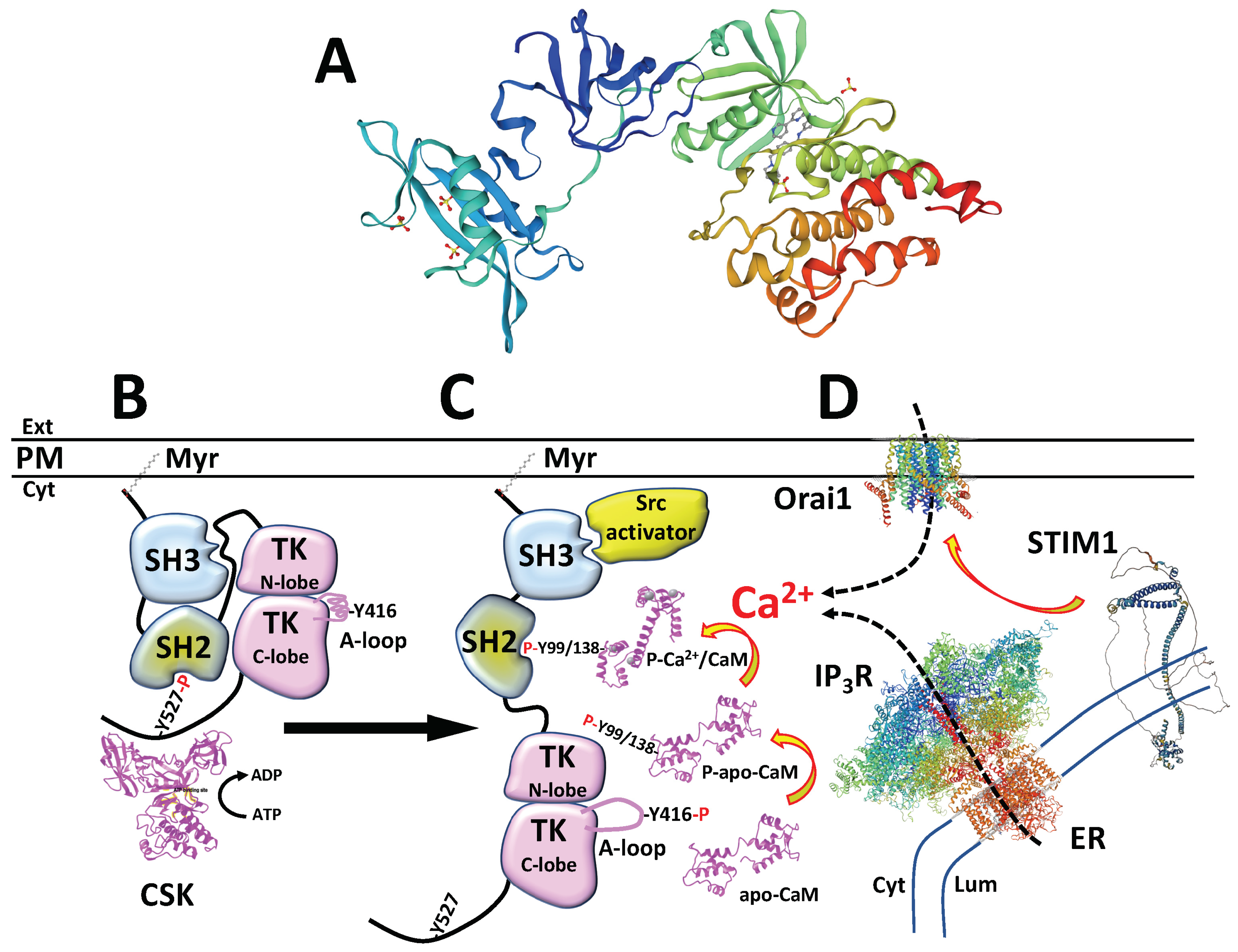 Biomolecules 13 01739 g001