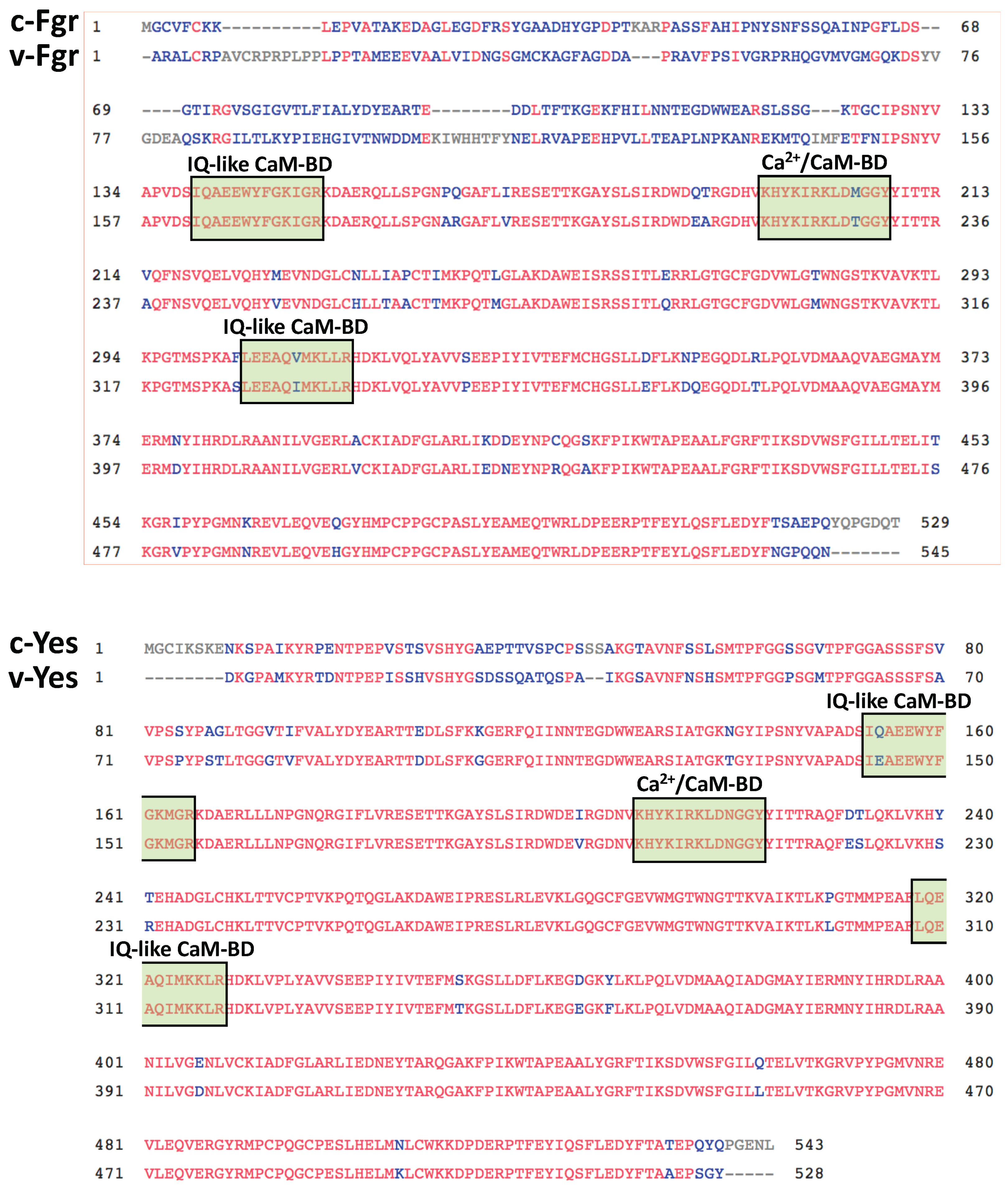 Biomolecules 13 01739 g002