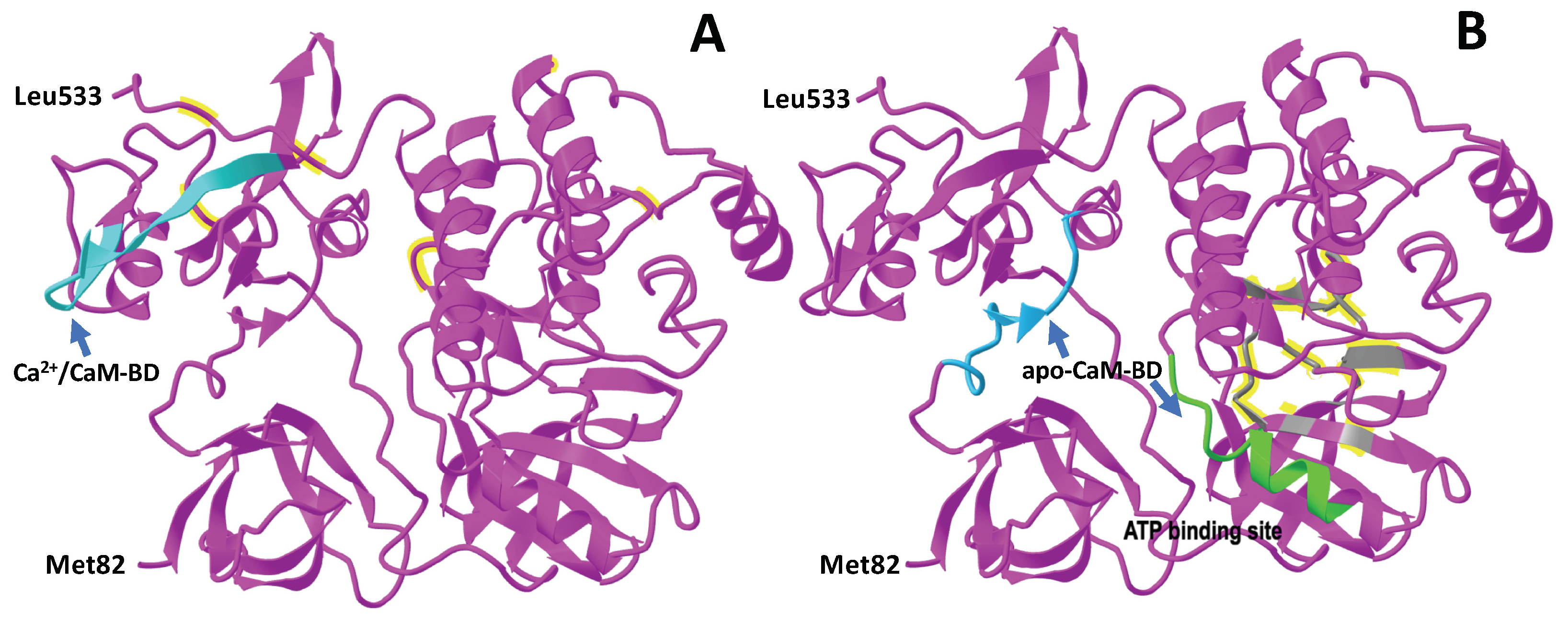 Biomolecules 13 01739 g003a