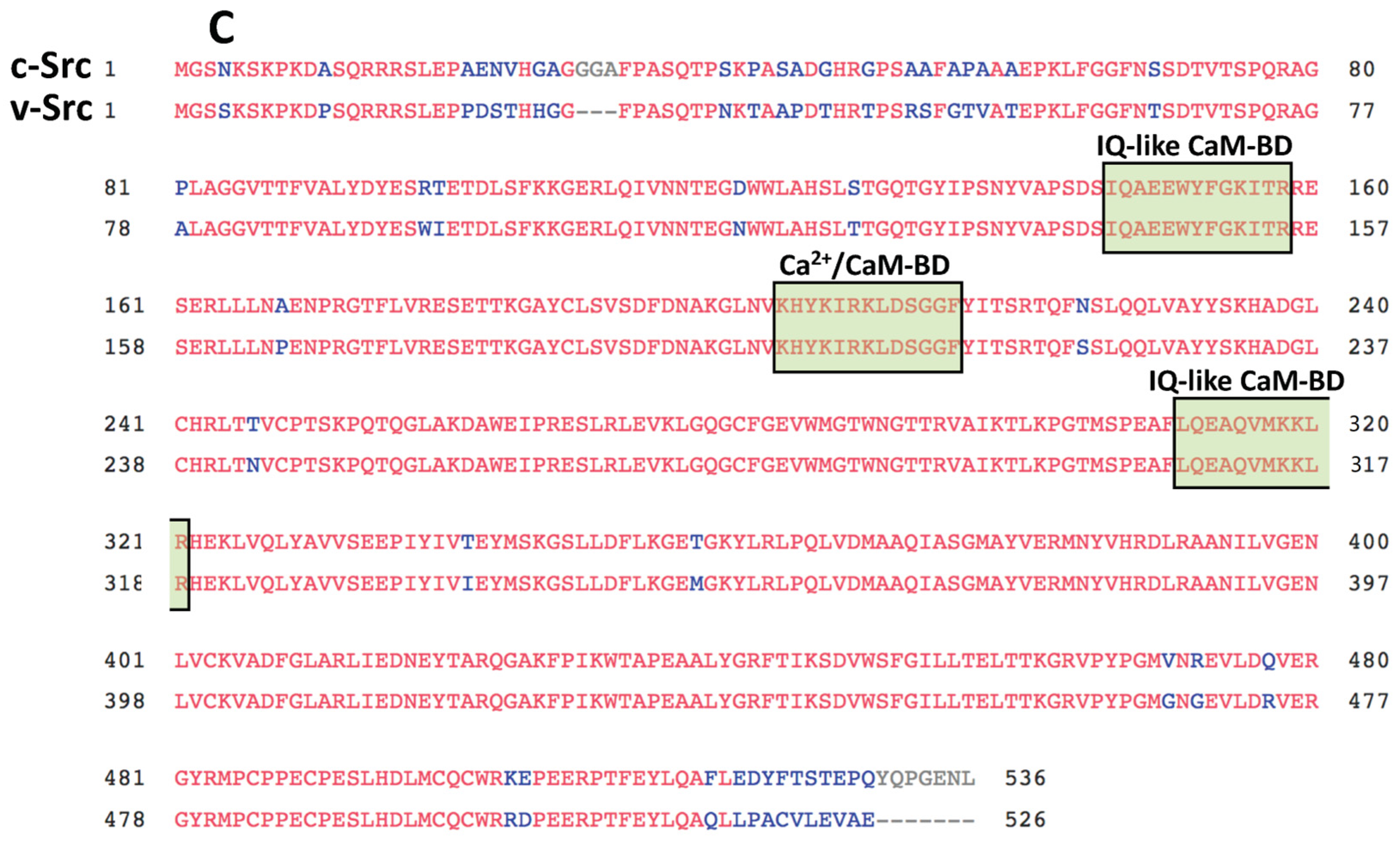 Biomolecules 13 01739 g003b