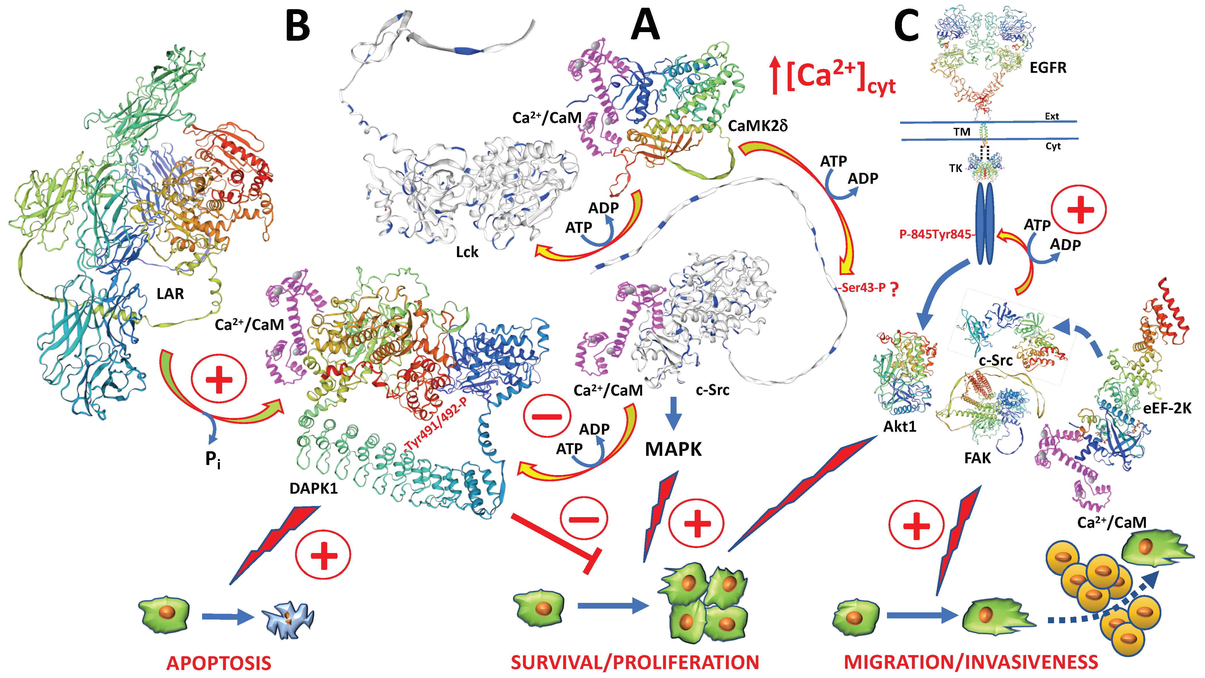 Biomolecules 13 01739 g004