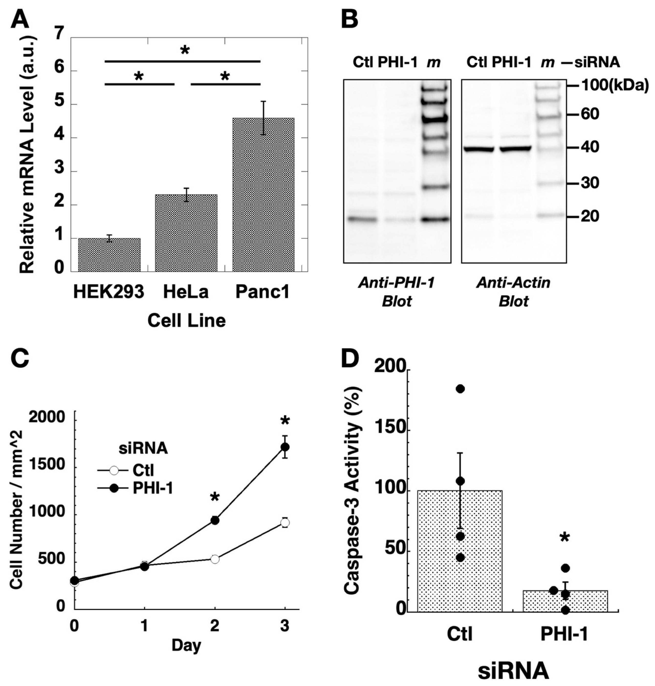 Biomolecules 13 01741 g001