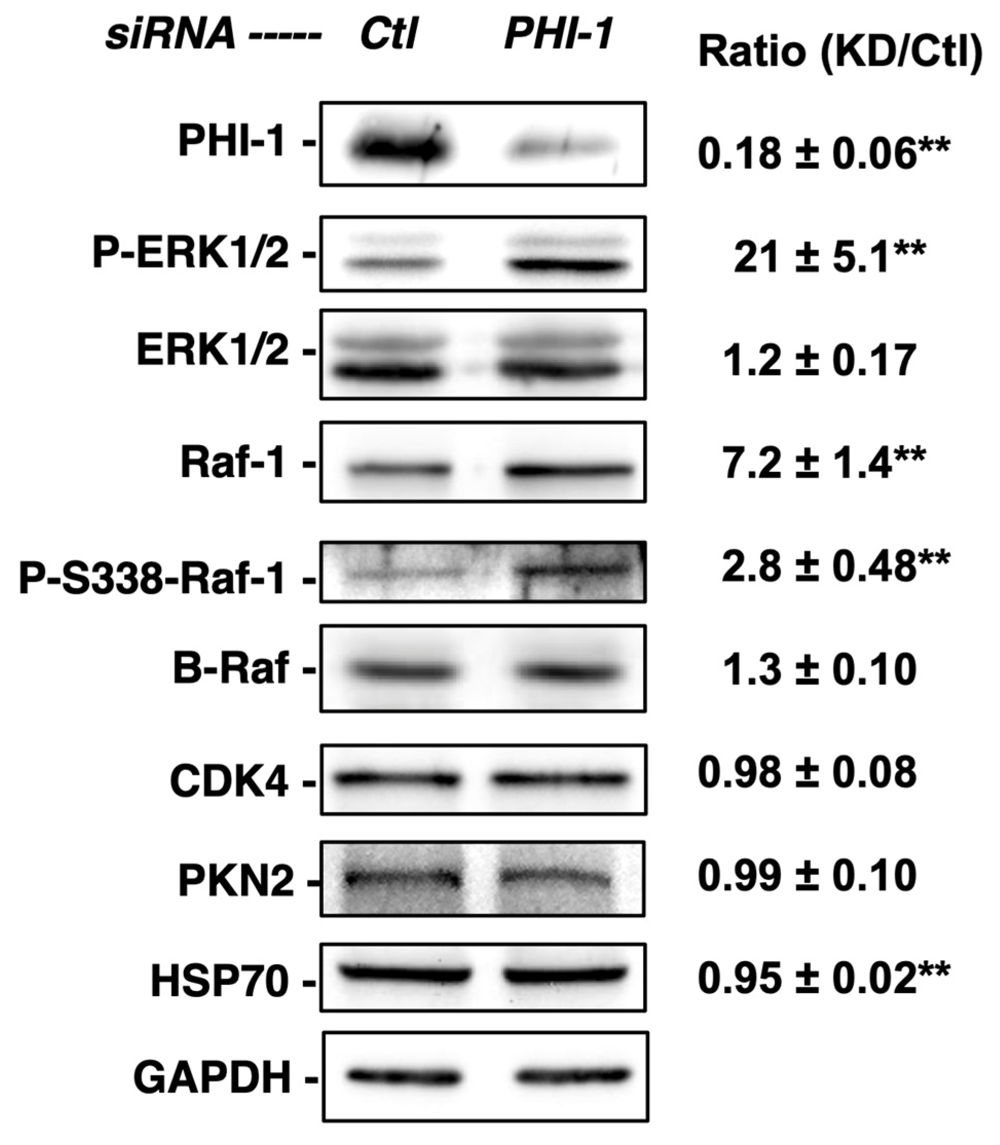 Biomolecules 13 01741 g002