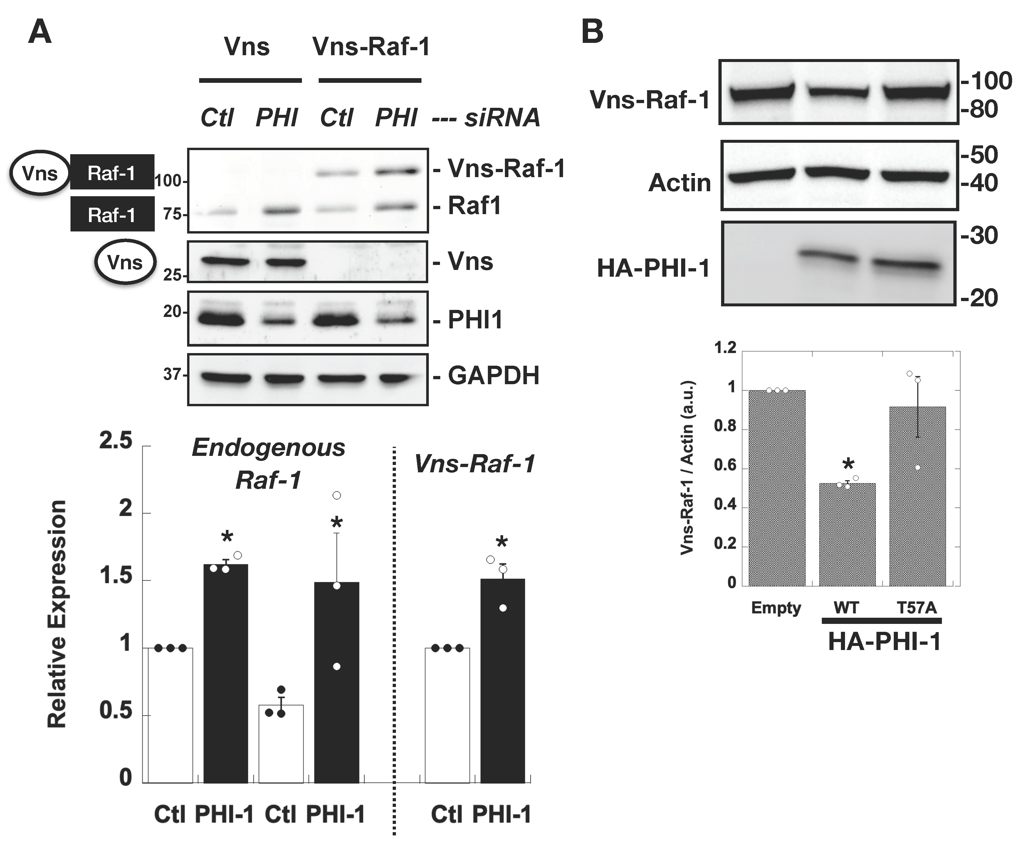 Biomolecules 13 01741 g004