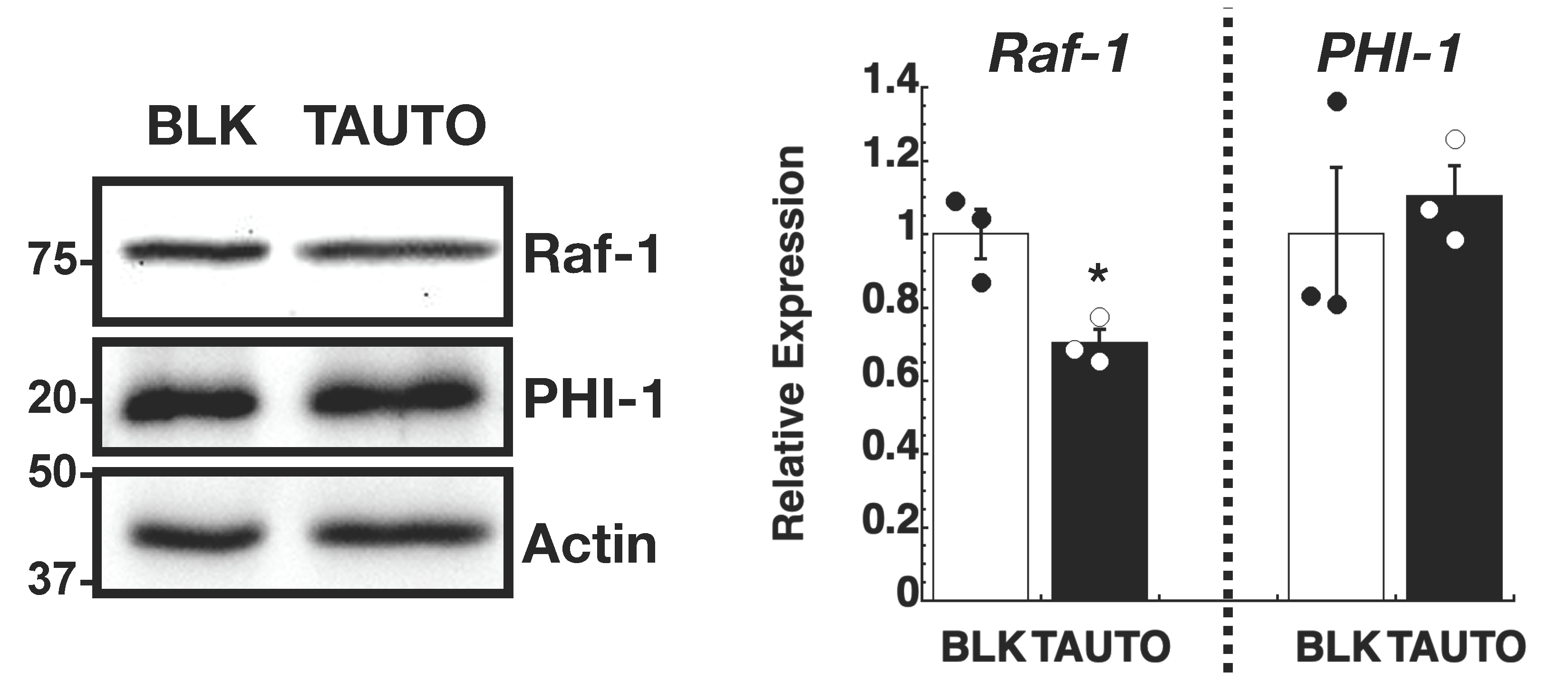 Biomolecules 13 01741 g005