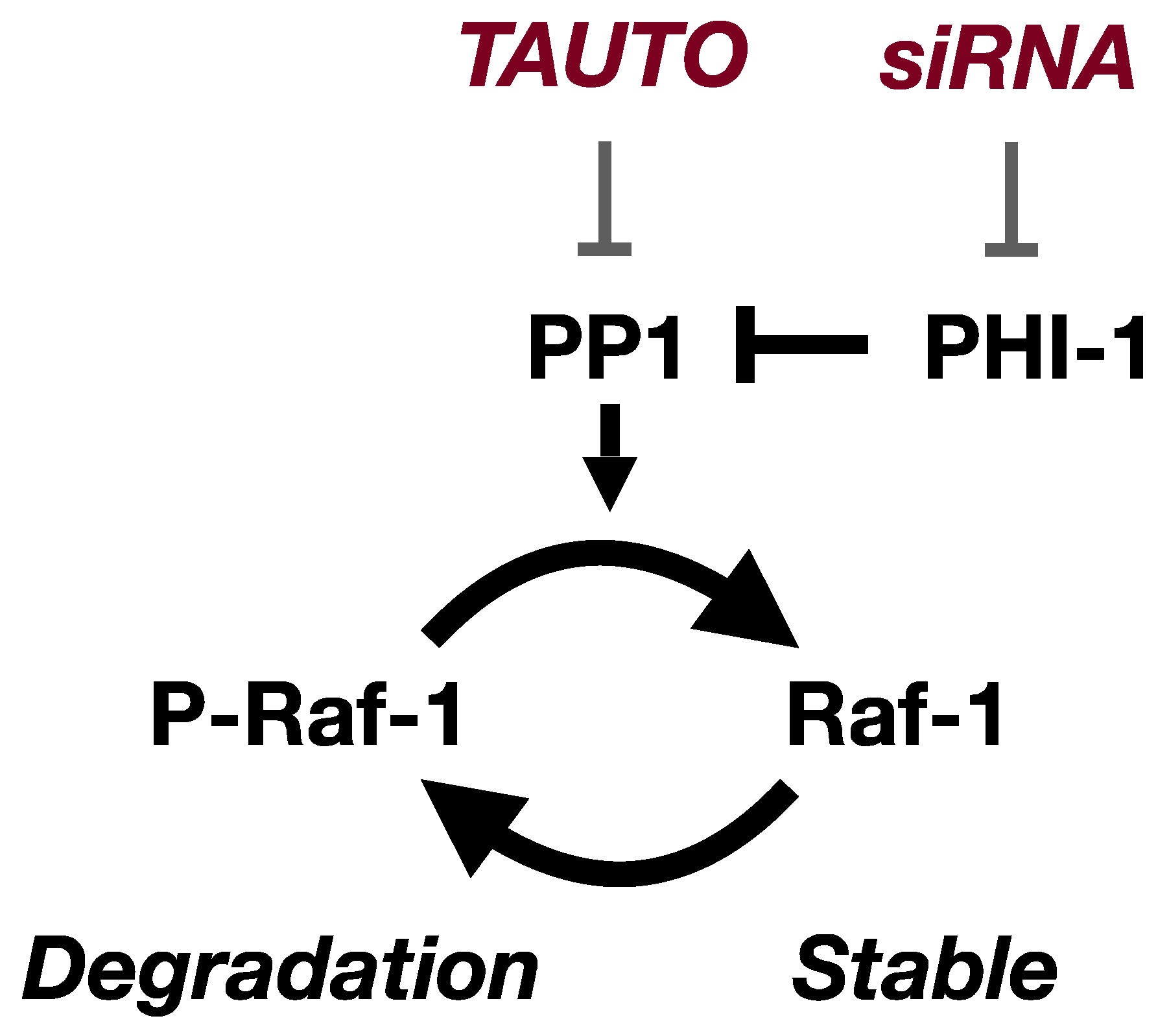 Biomolecules 13 01741 g006