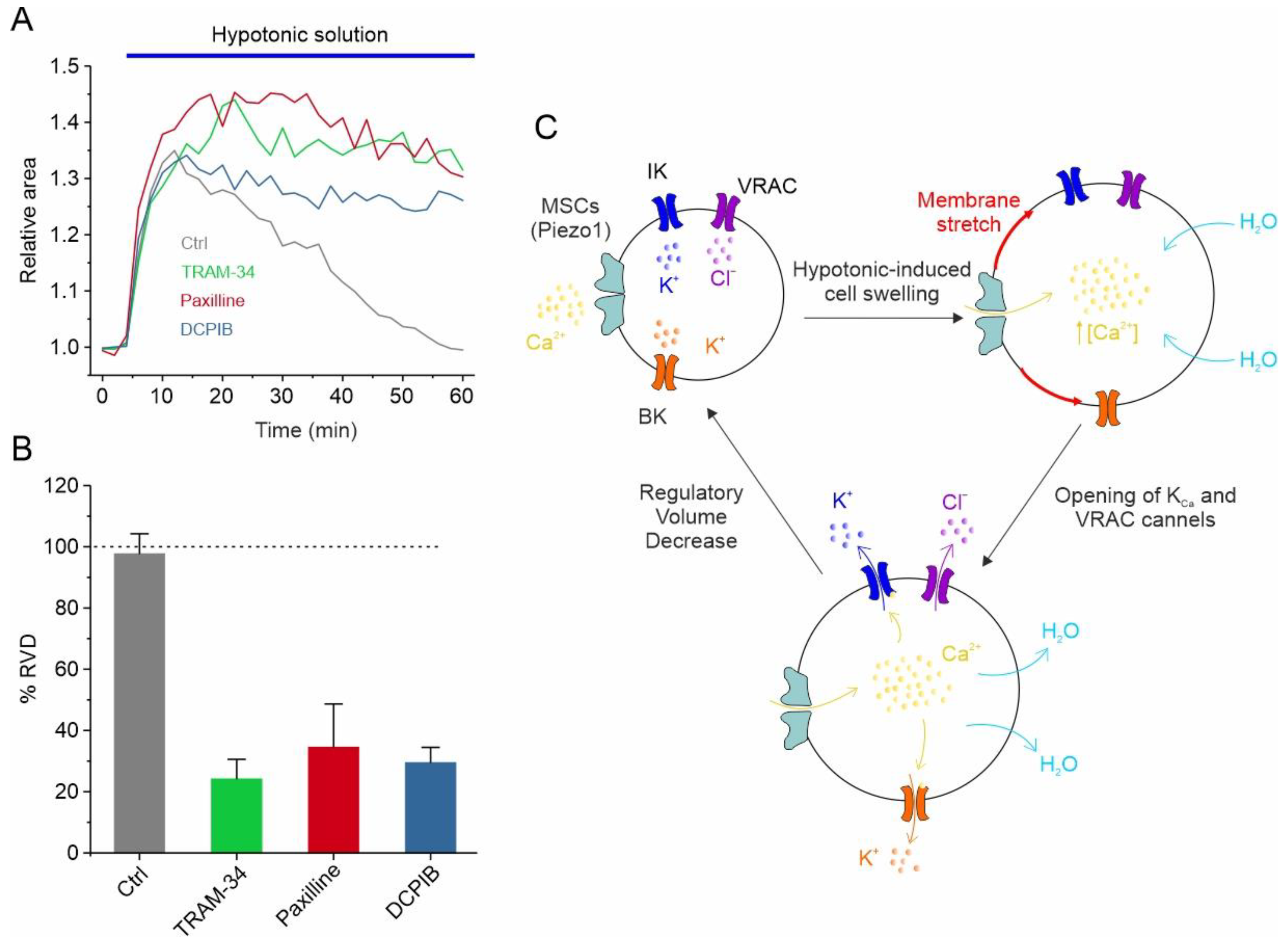 Biomolecules 13 01742 g002