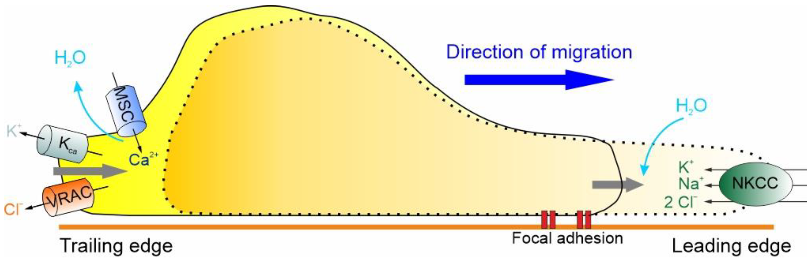 Biomolecules 13 01742 g003