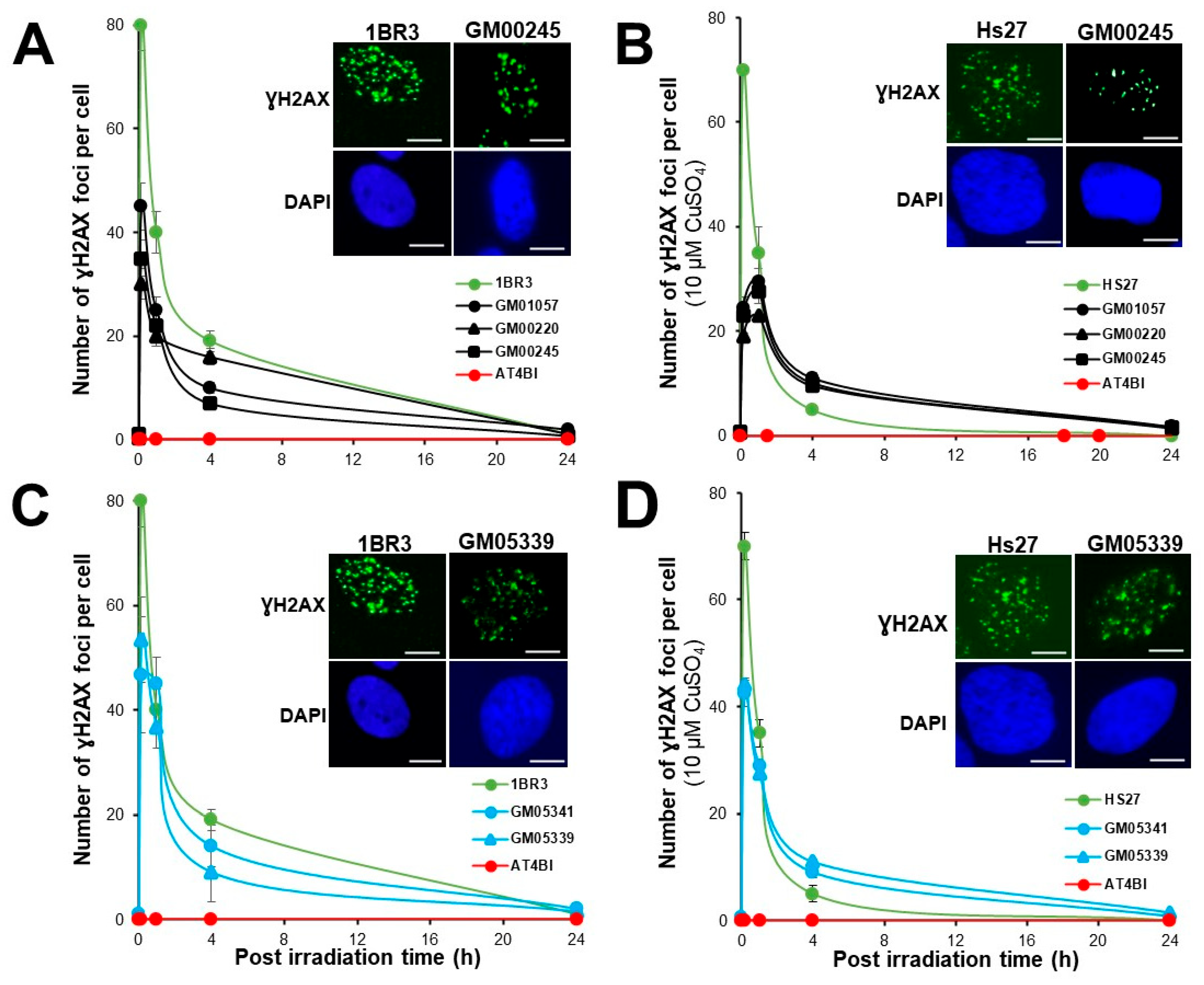 Biomolecules 13 01746 g004
