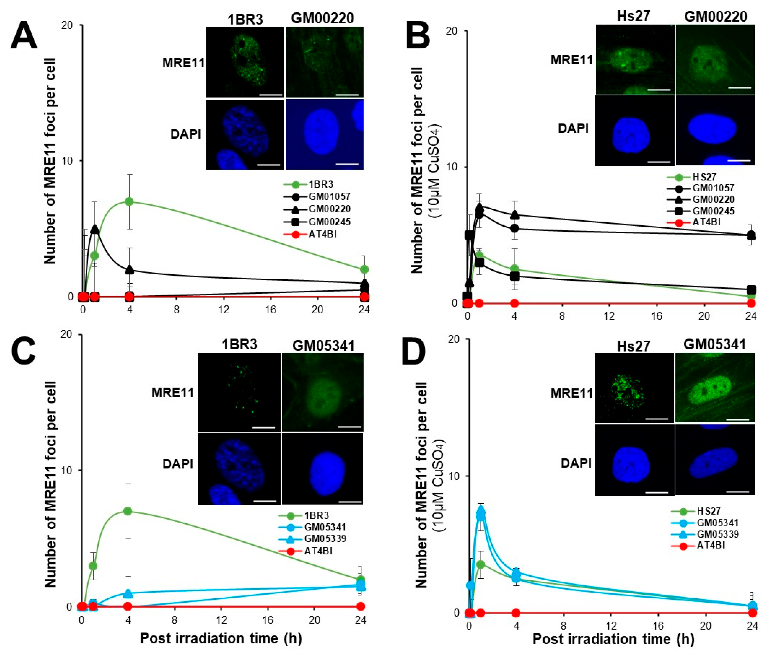 Biomolecules 13 01746 g006