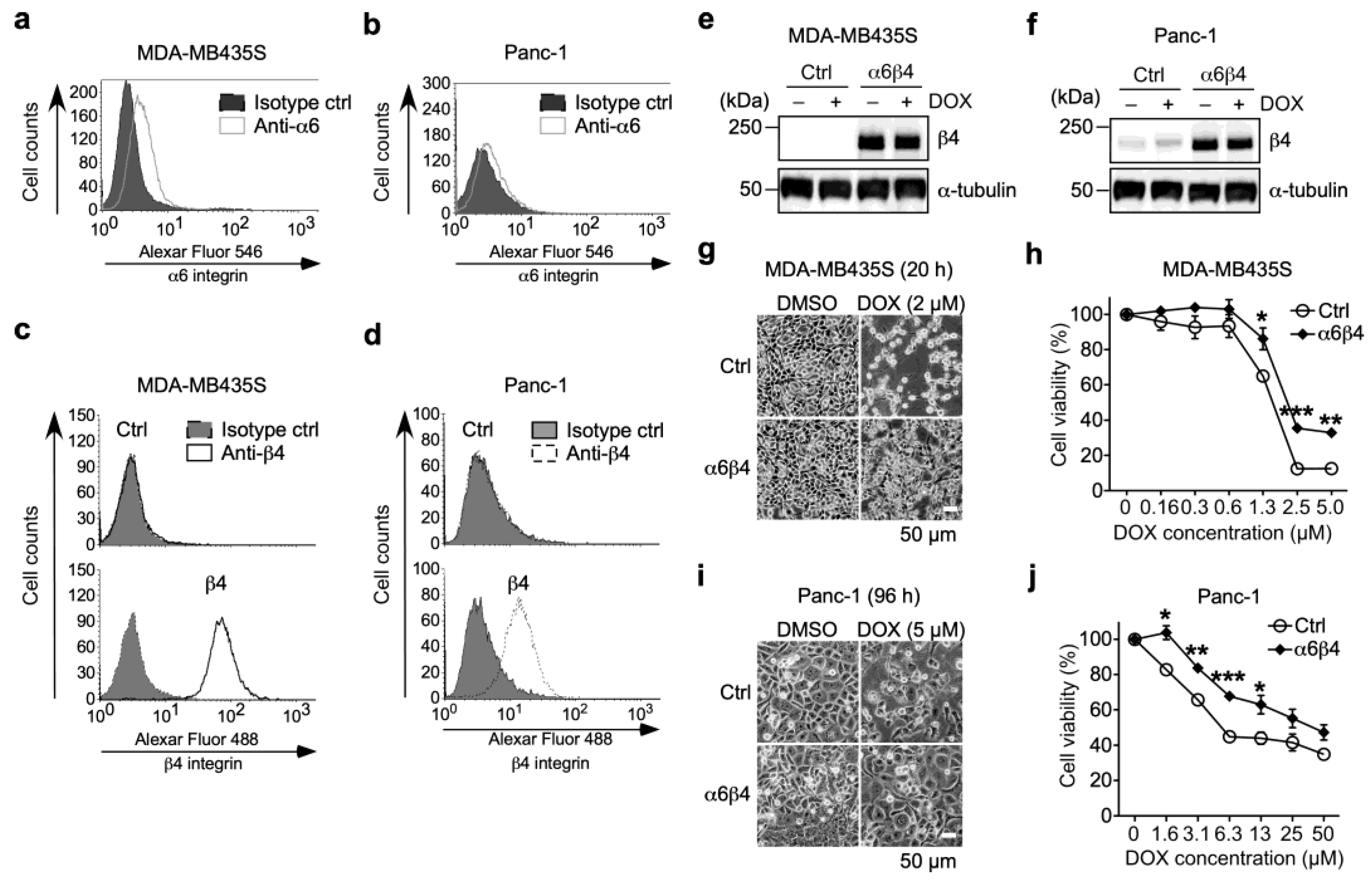 Biomolecules 13 01752 g002