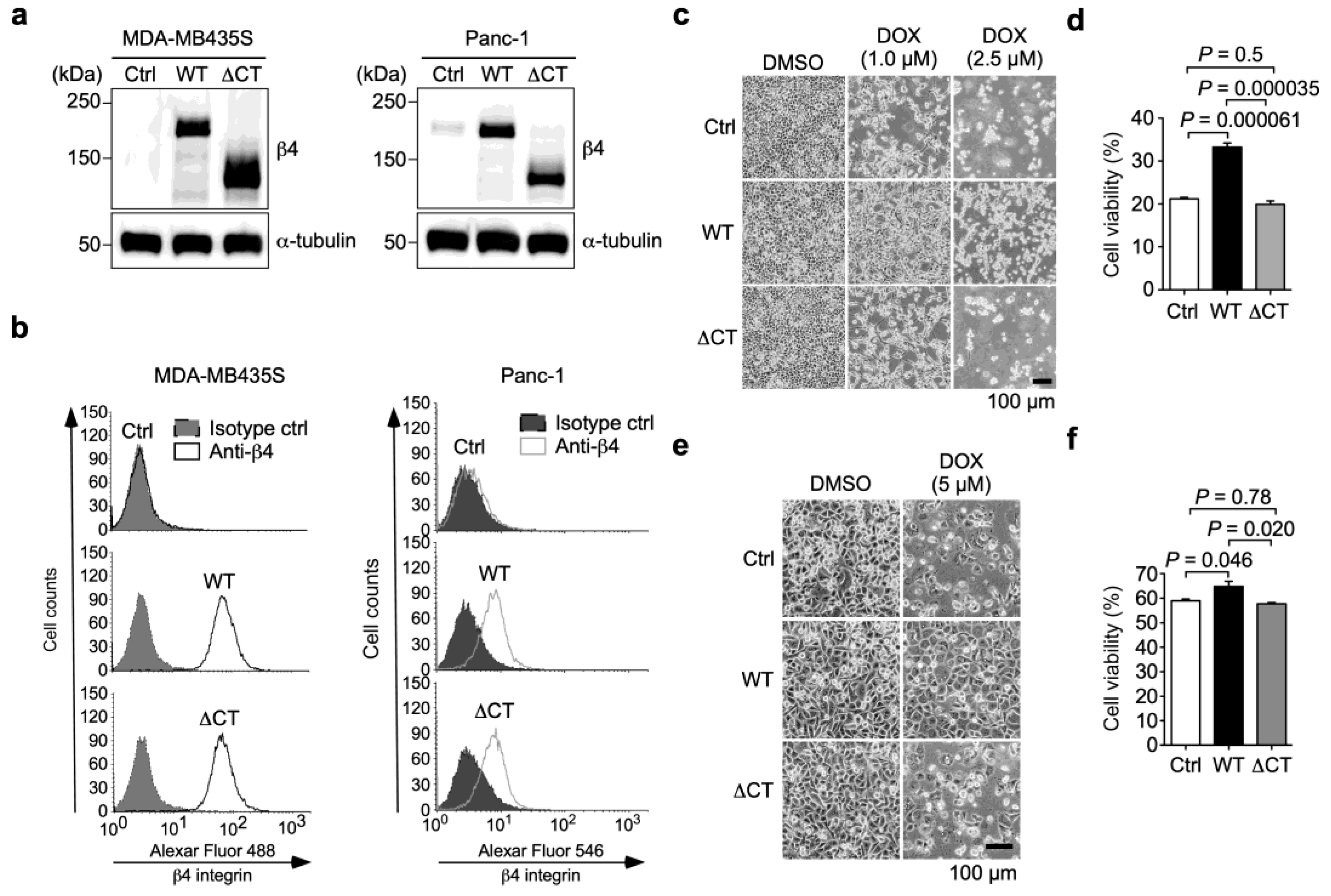 Biomolecules 13 01752 g003