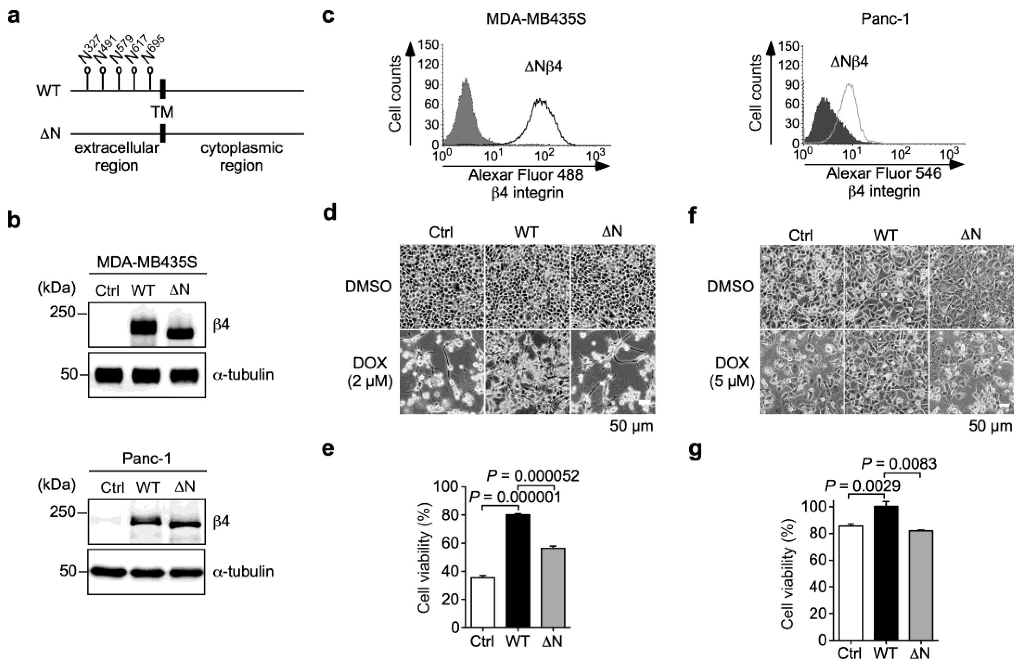 Biomolecules 13 01752 g004