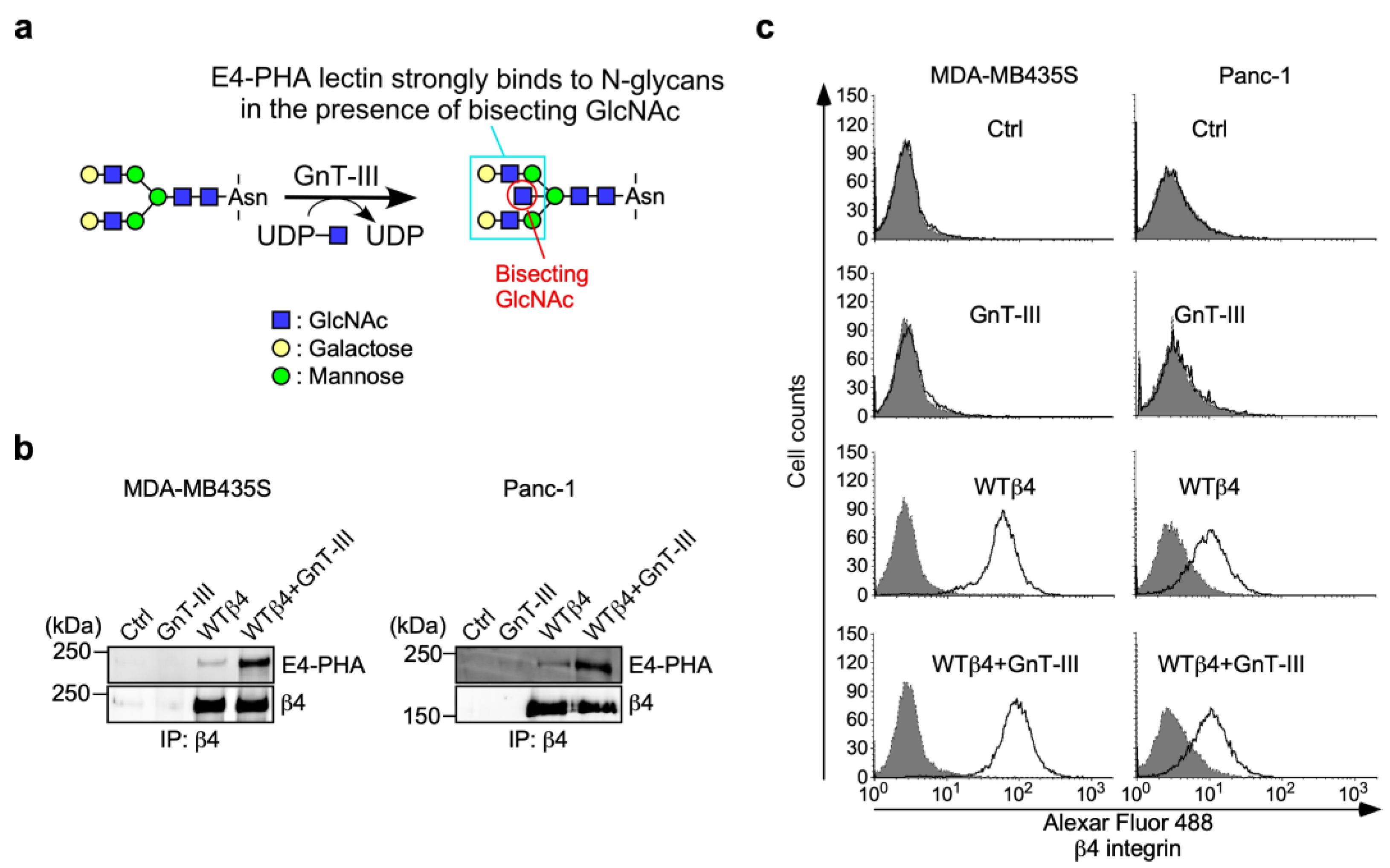Biomolecules 13 01752 g005
