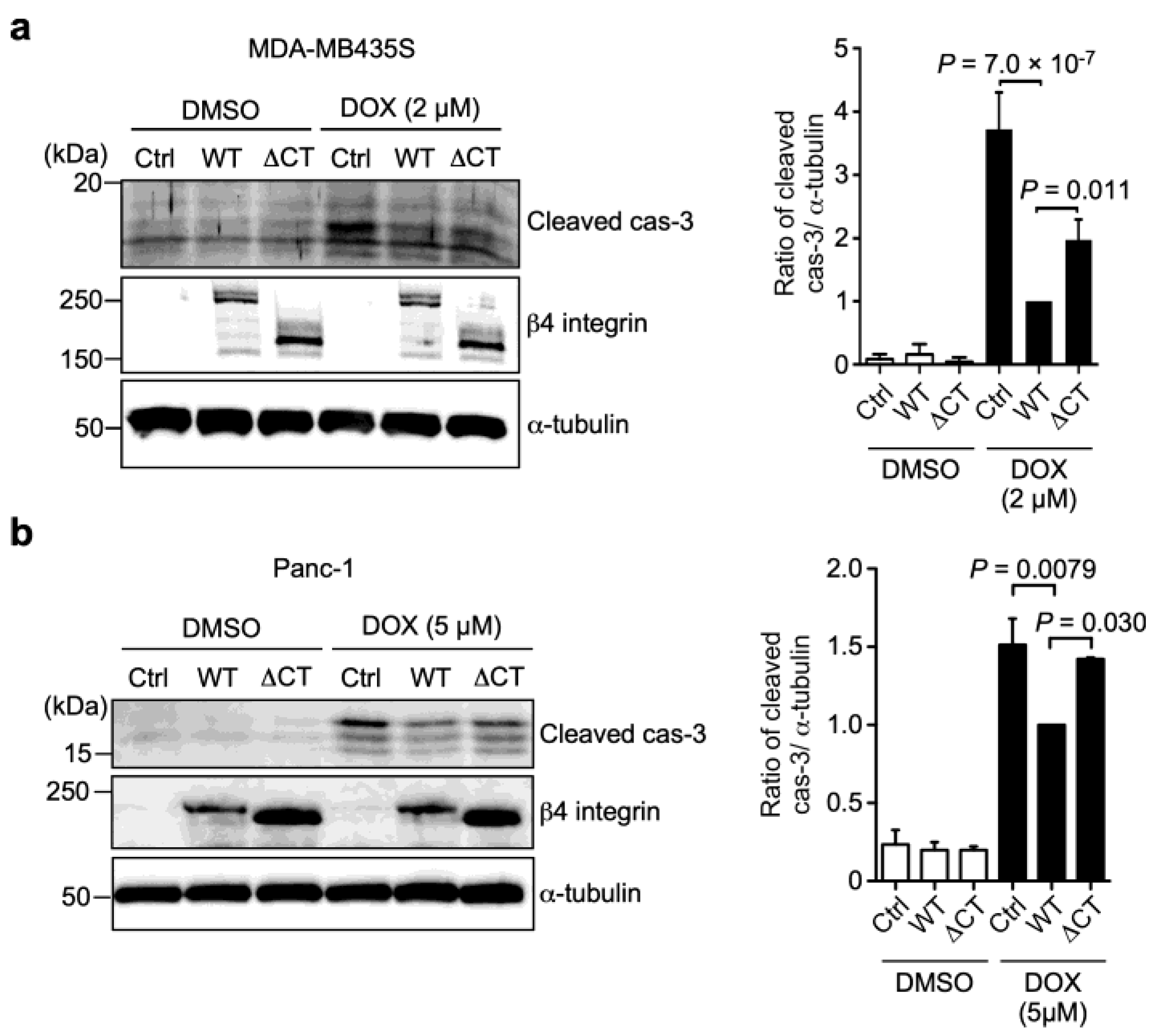 Biomolecules 13 01752 g007