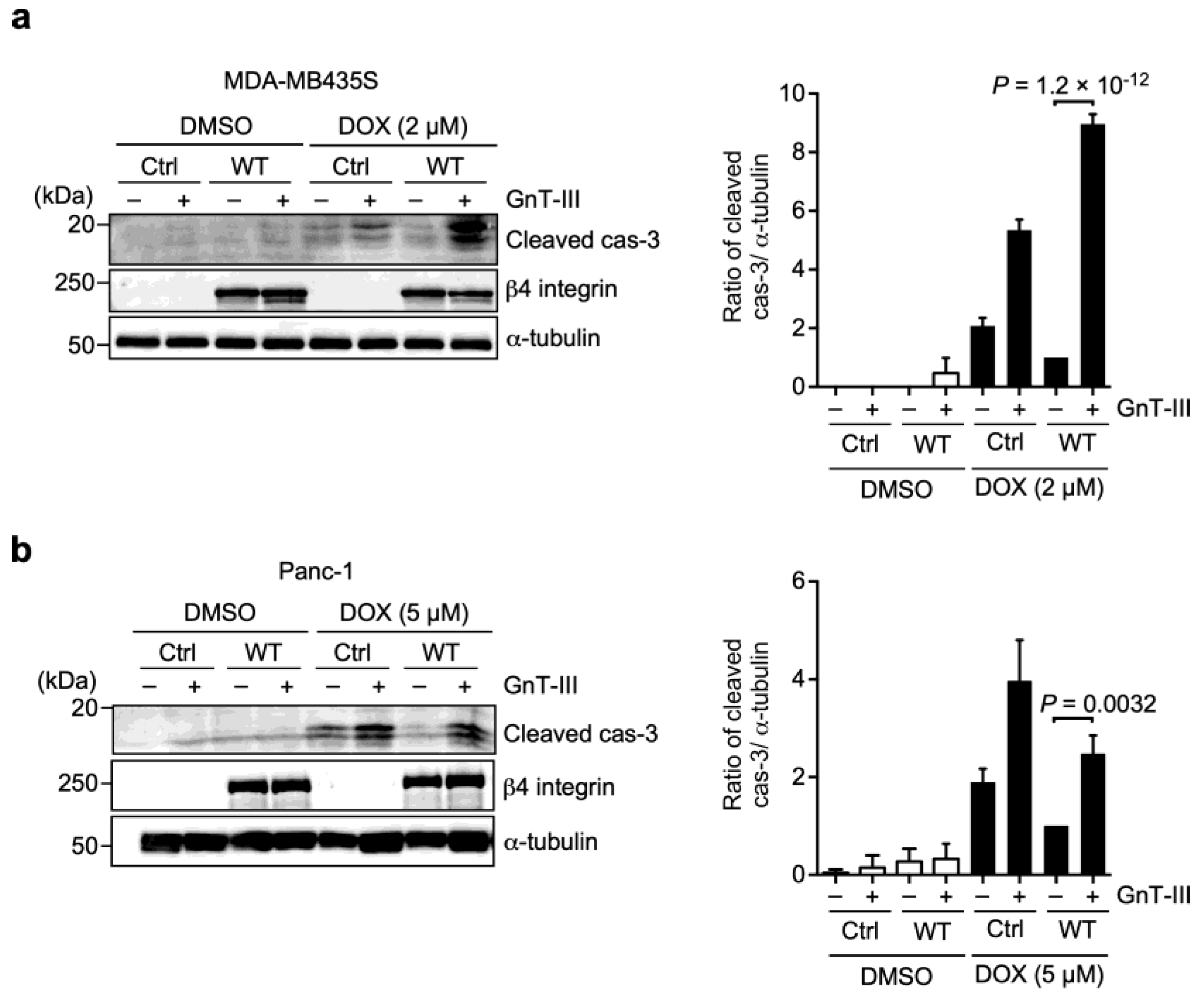 Biomolecules 13 01752 g008