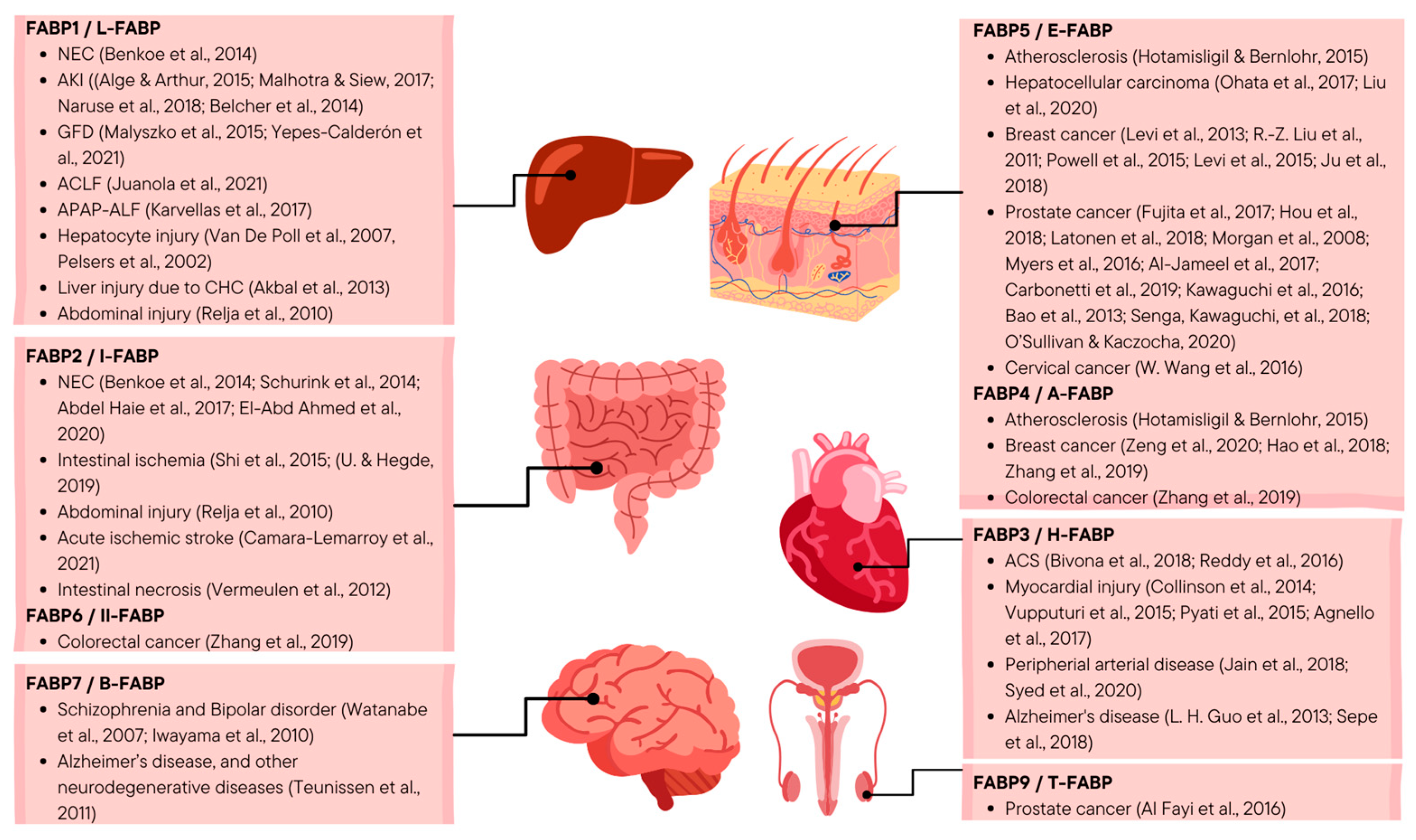 Biomolecules 13 01753 g002 Biomolecules 13 01753 g002
