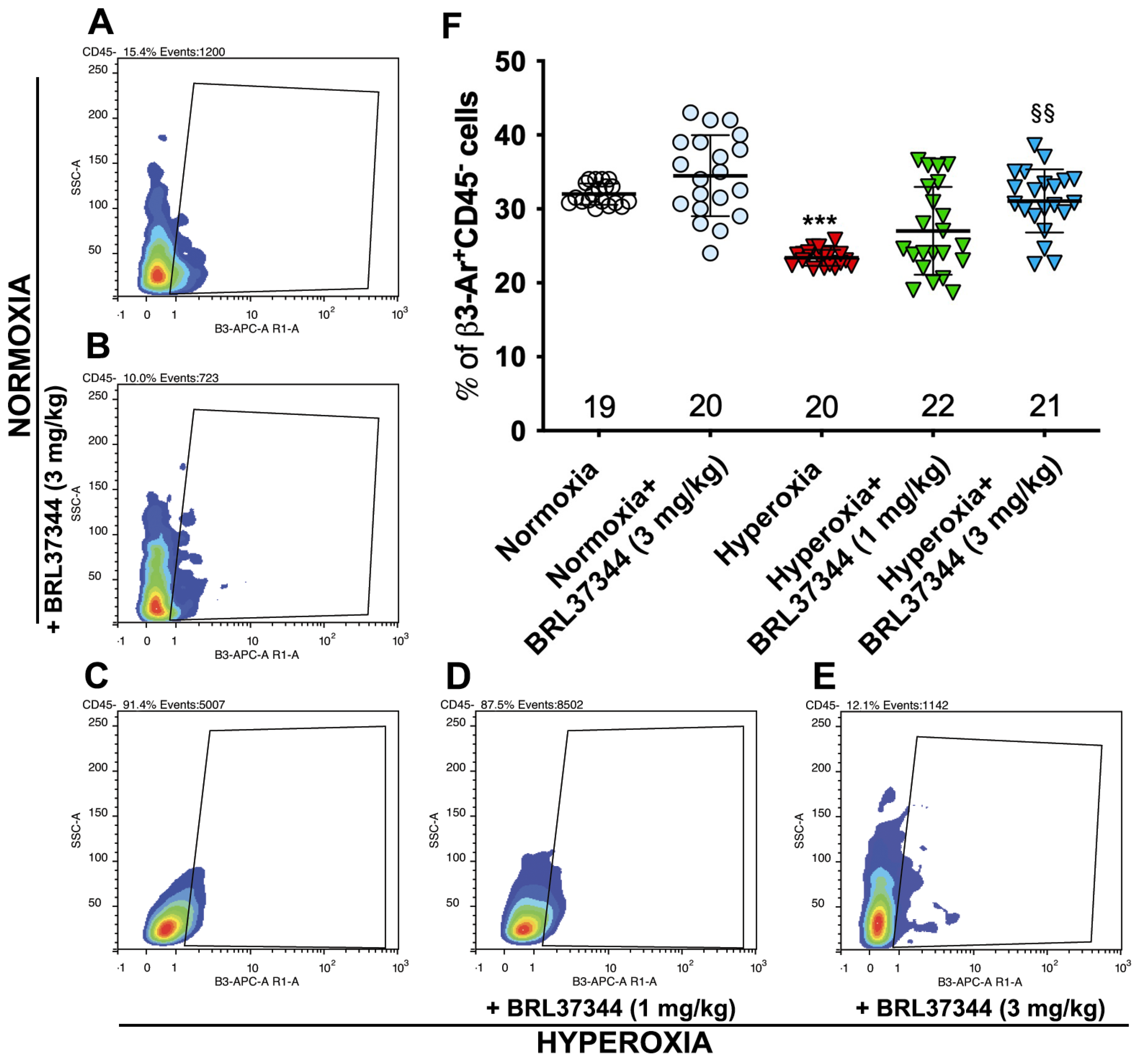 Biomolecules 13 01755 g001
