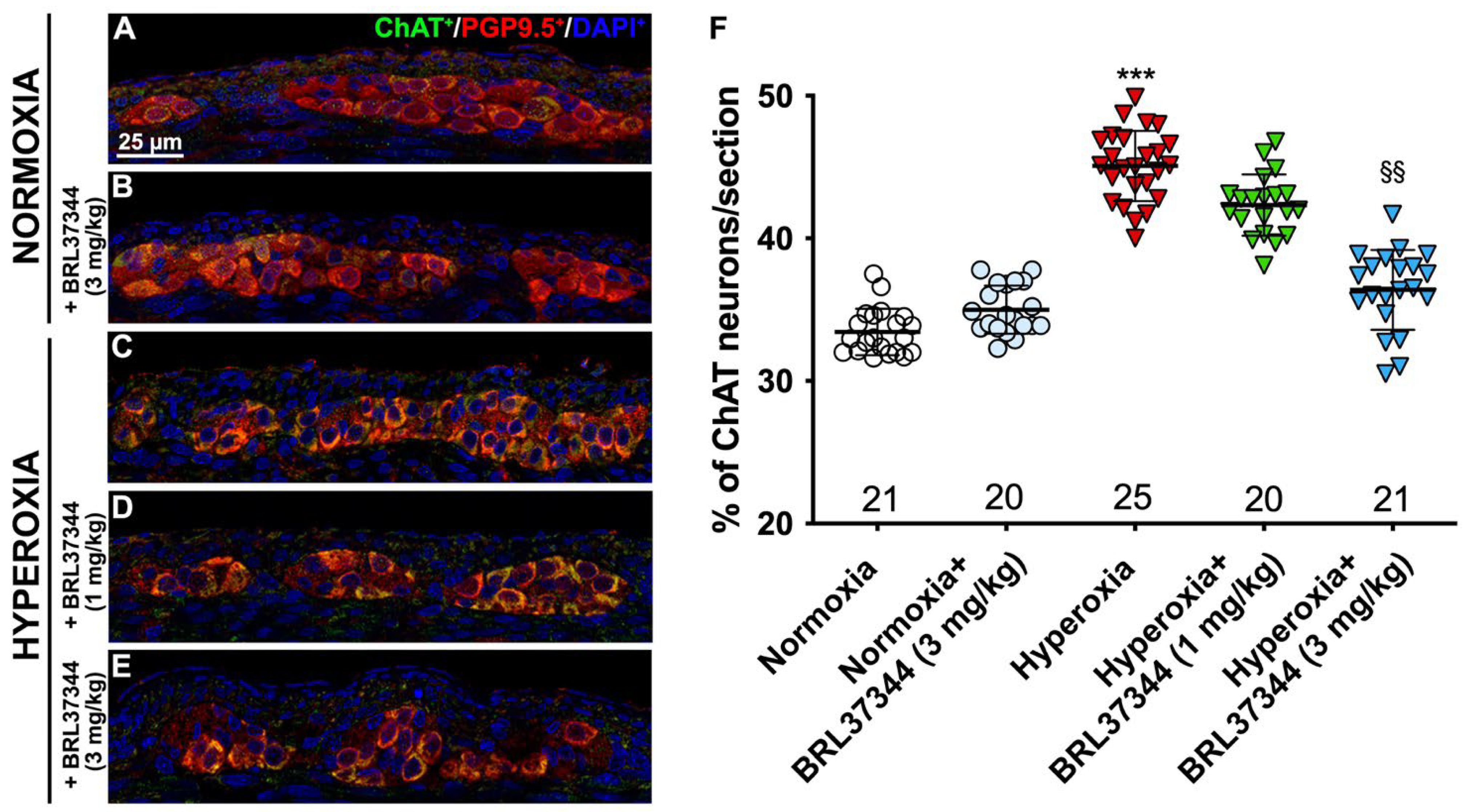 Biomolecules 13 01755 g007