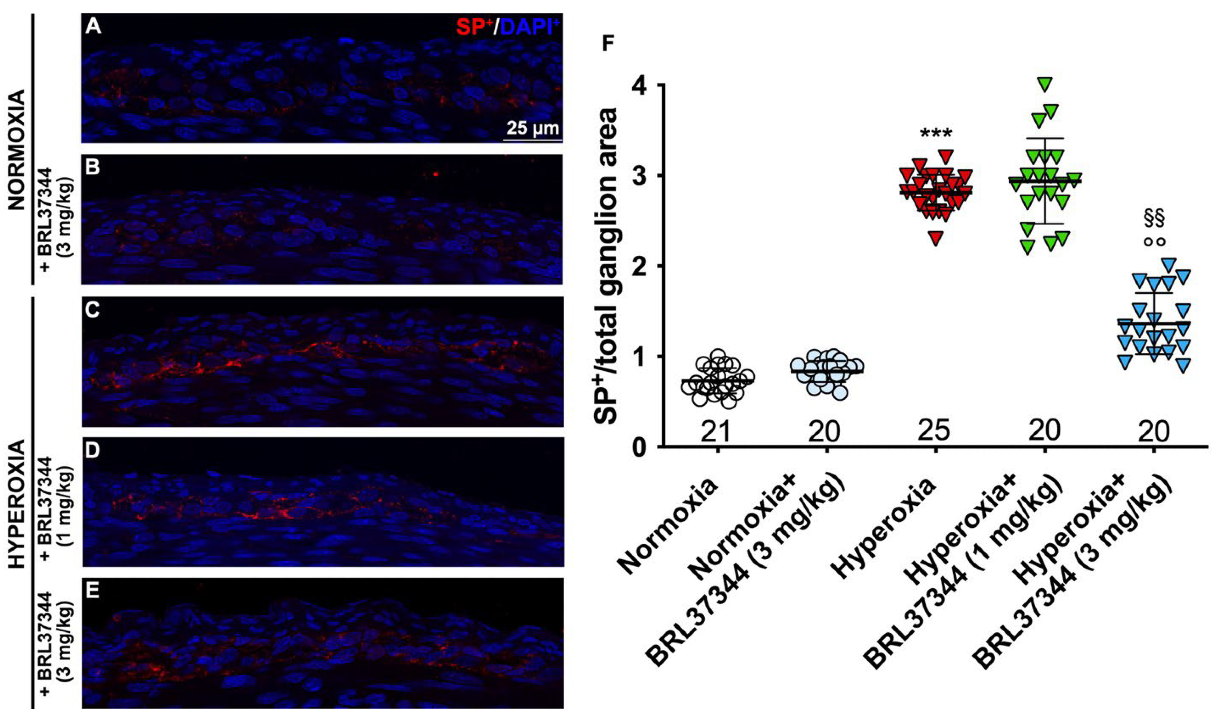 Biomolecules 13 01755 g009