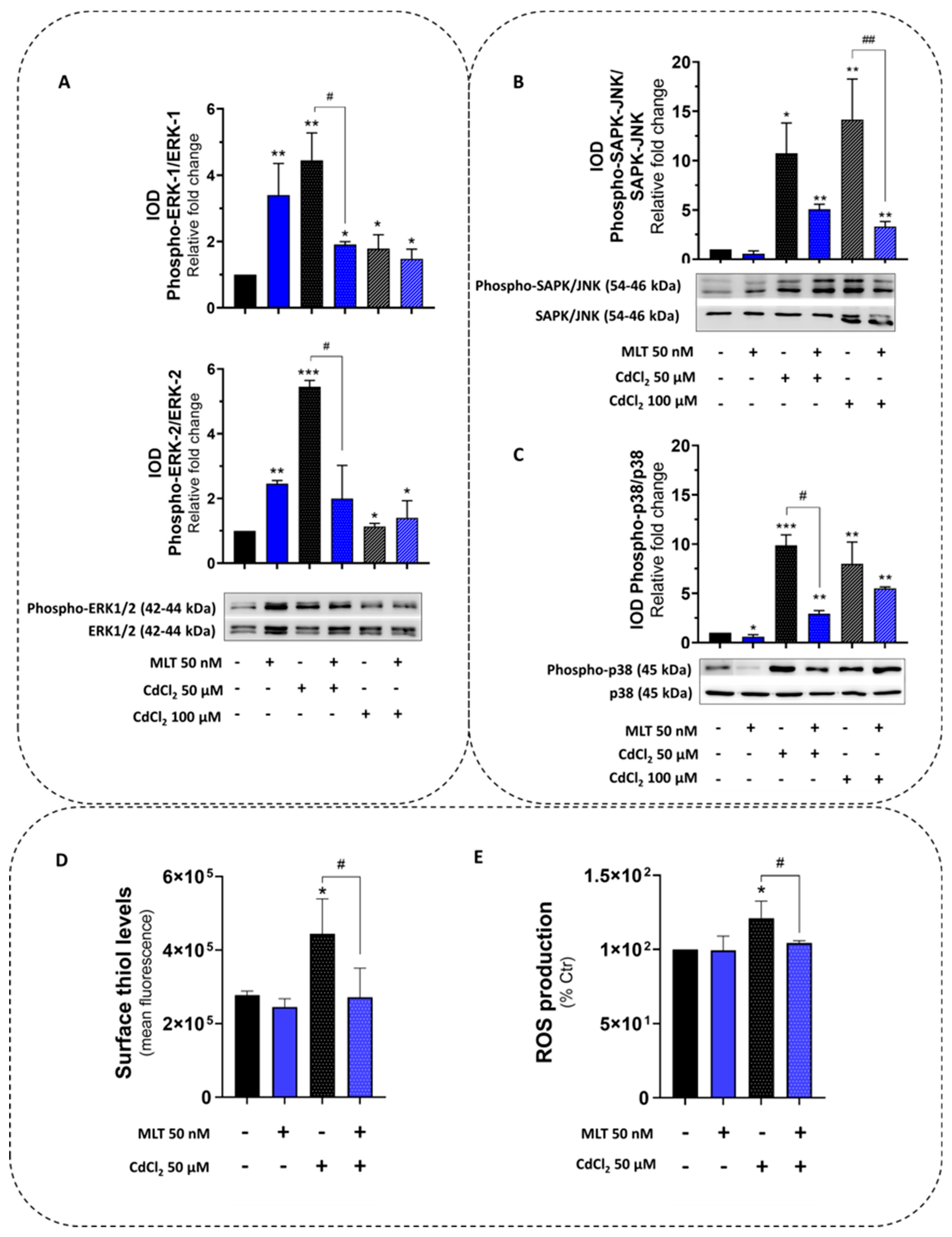 Biomolecules 13 01758 g003