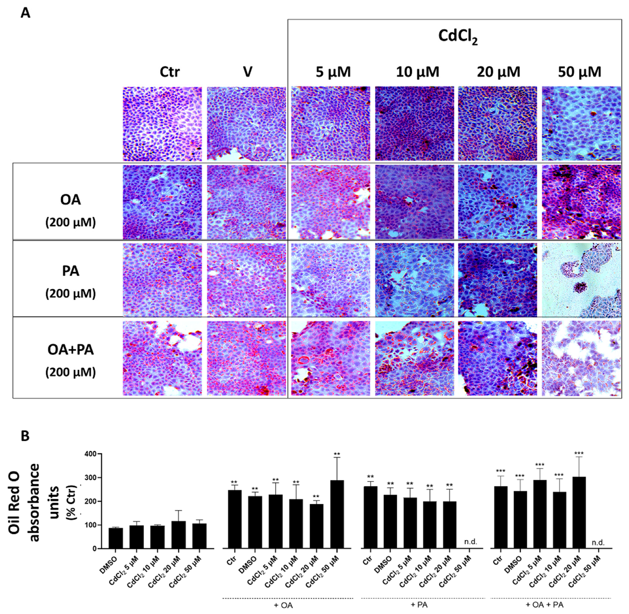 Biomolecules 13 01758 g006