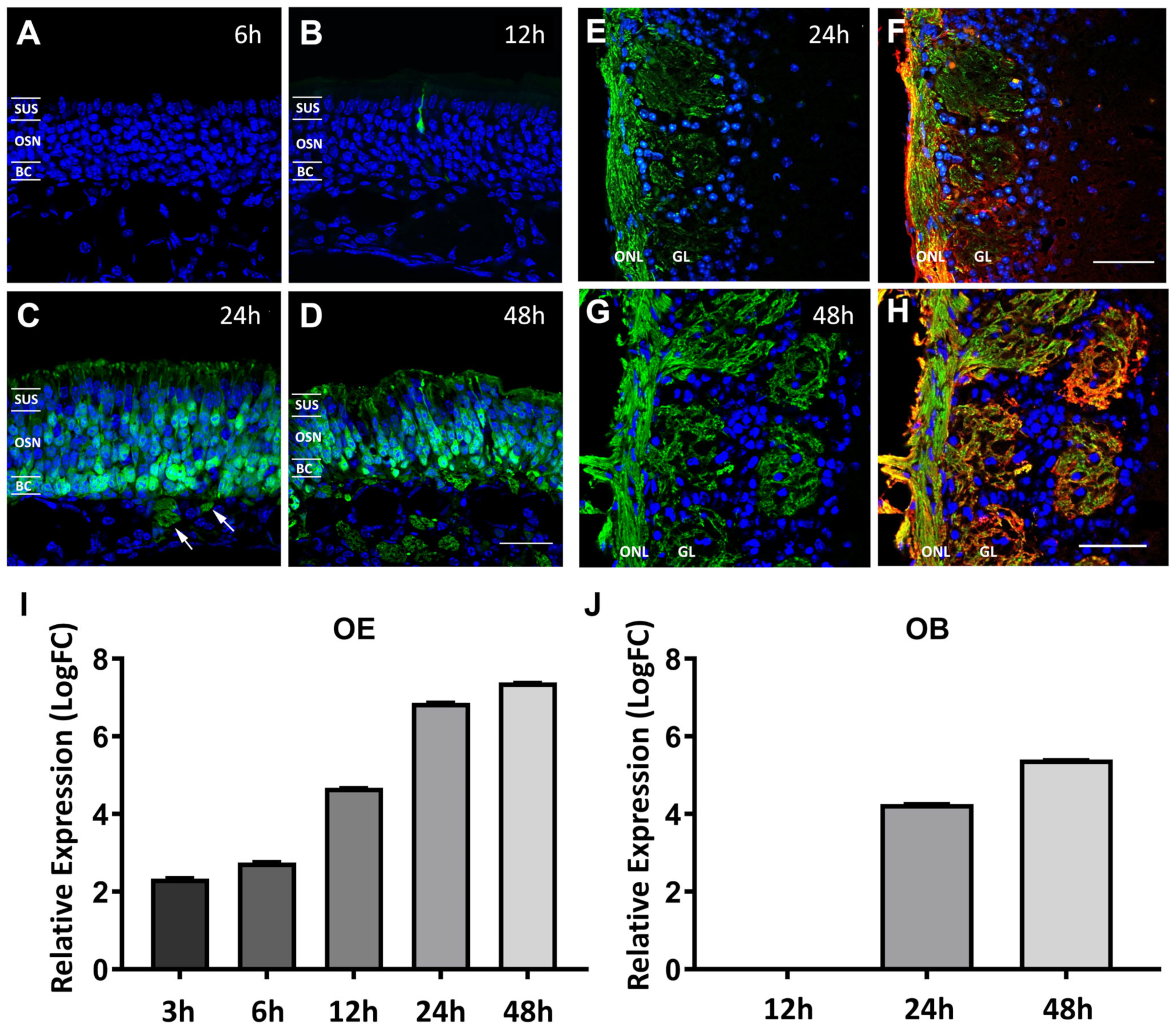 Biomolecules 13 01762 g001