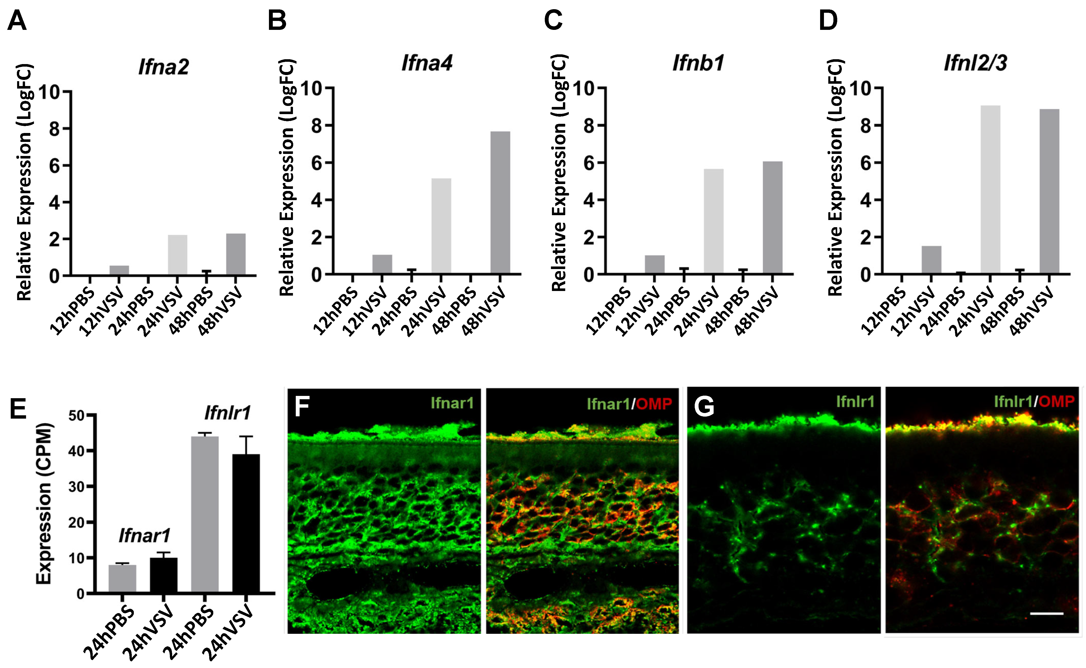 Biomolecules 13 01762 g004