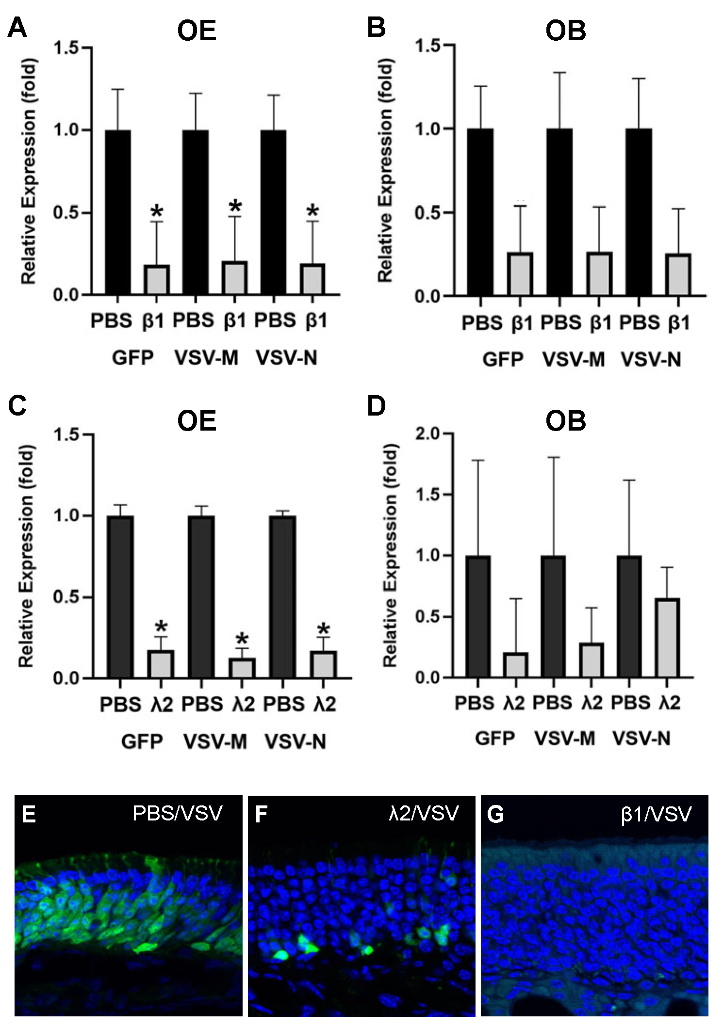 Biomolecules 13 01762 g007