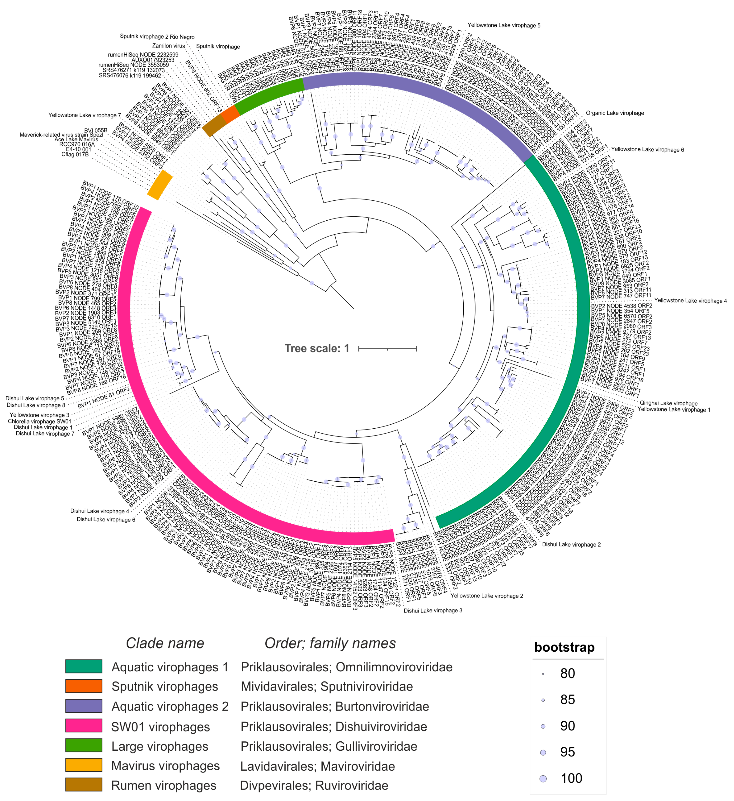 Biomolecules 13 01773 g002
