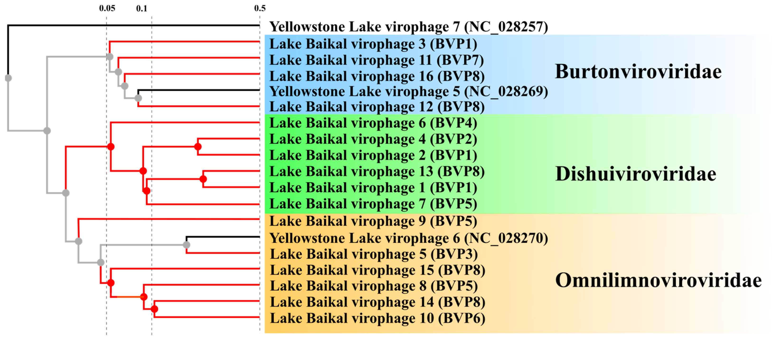 Biomolecules 13 01773 g006