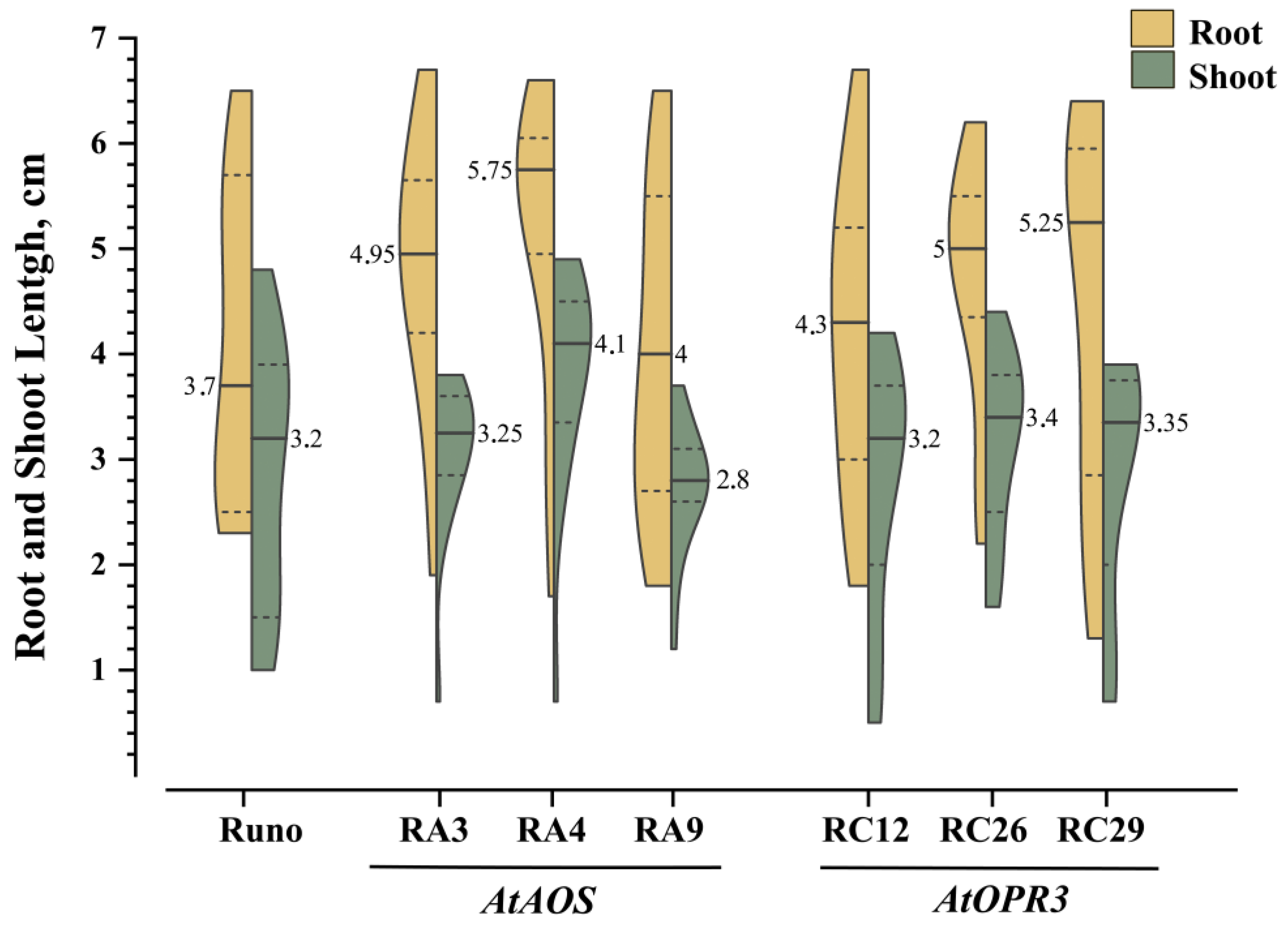 Biomolecules 13 01775 g004