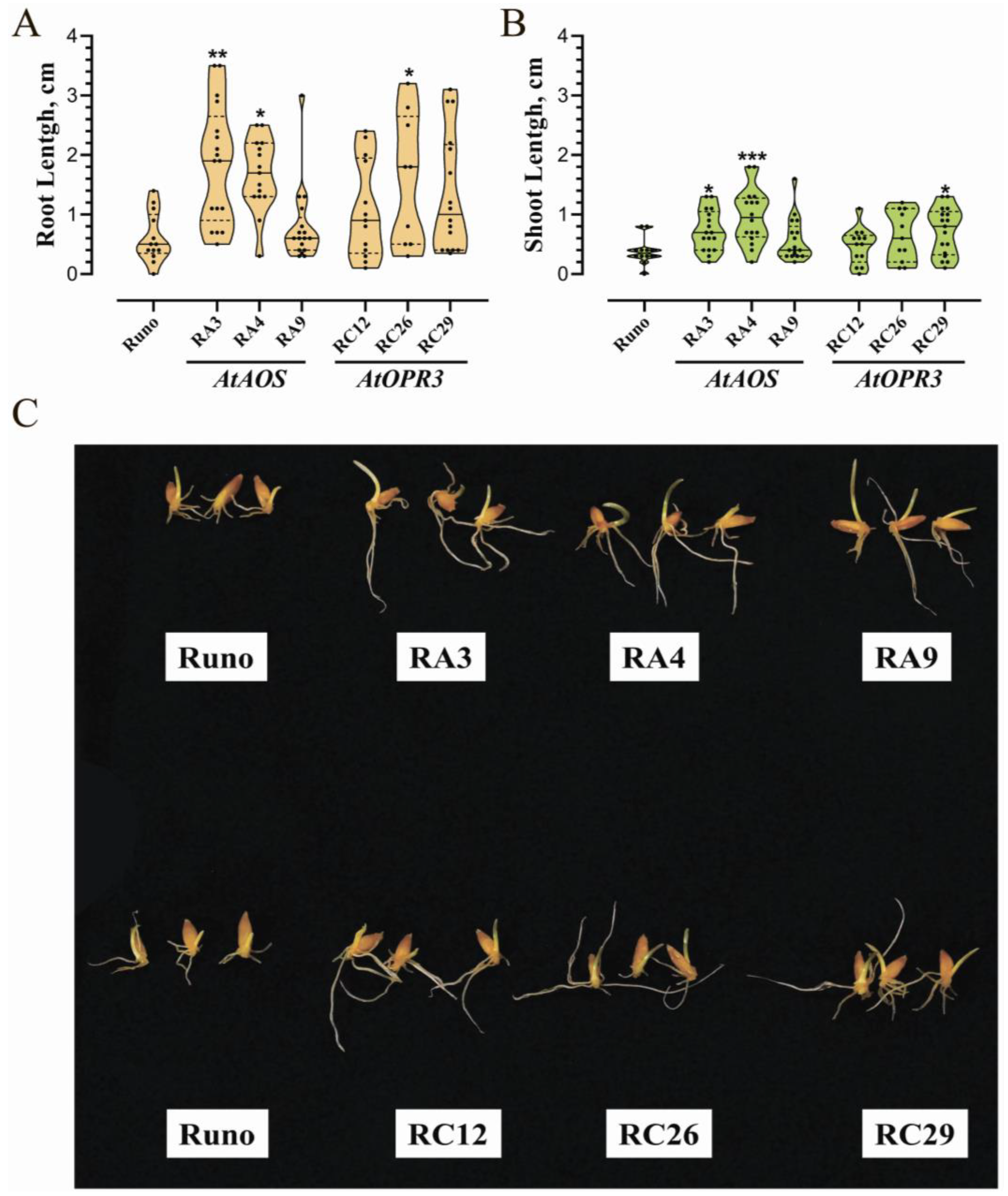 Biomolecules 13 01775 g008