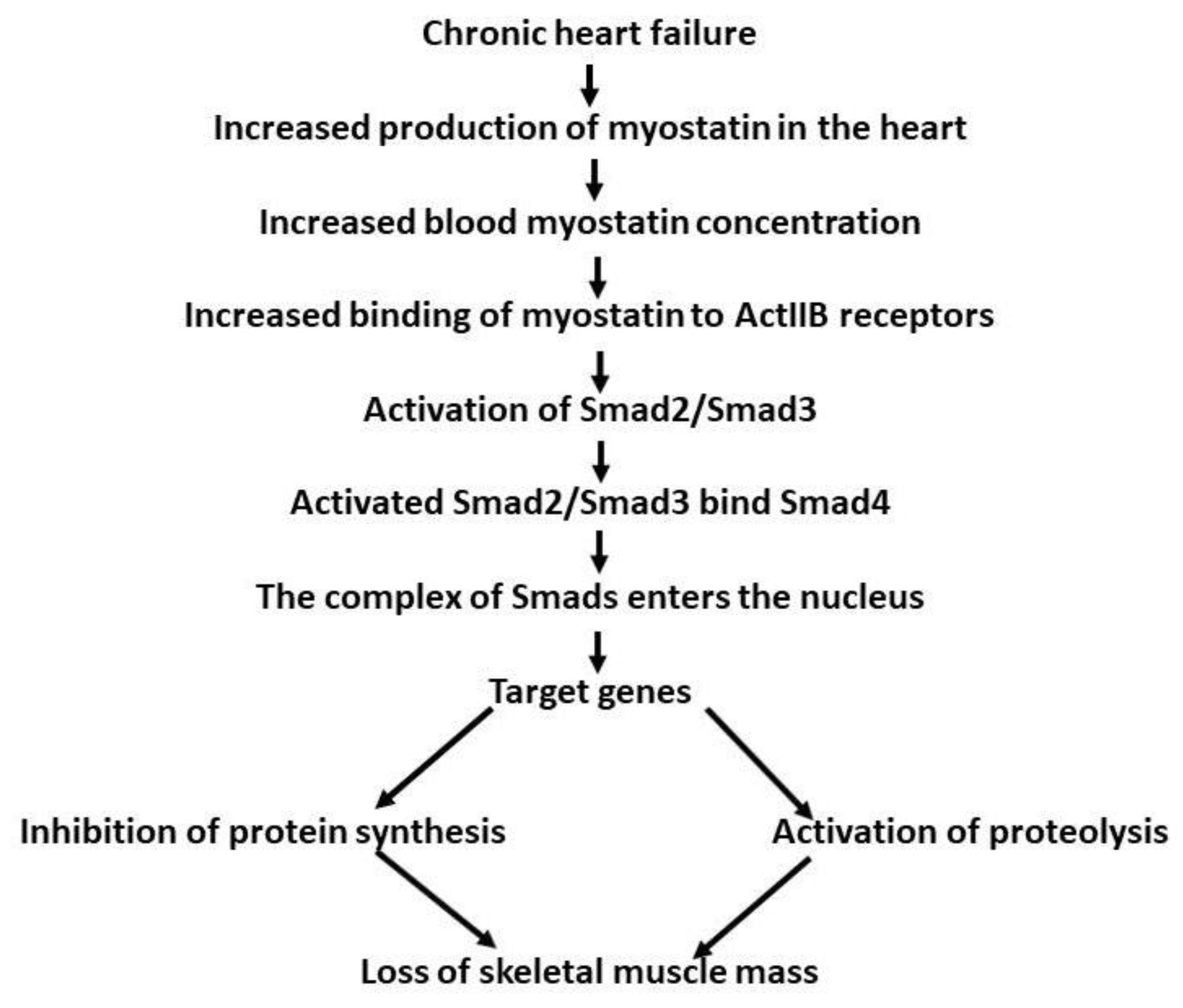 Biomolecules 13 01777 g002 Biomolecules 13 01777 g002
