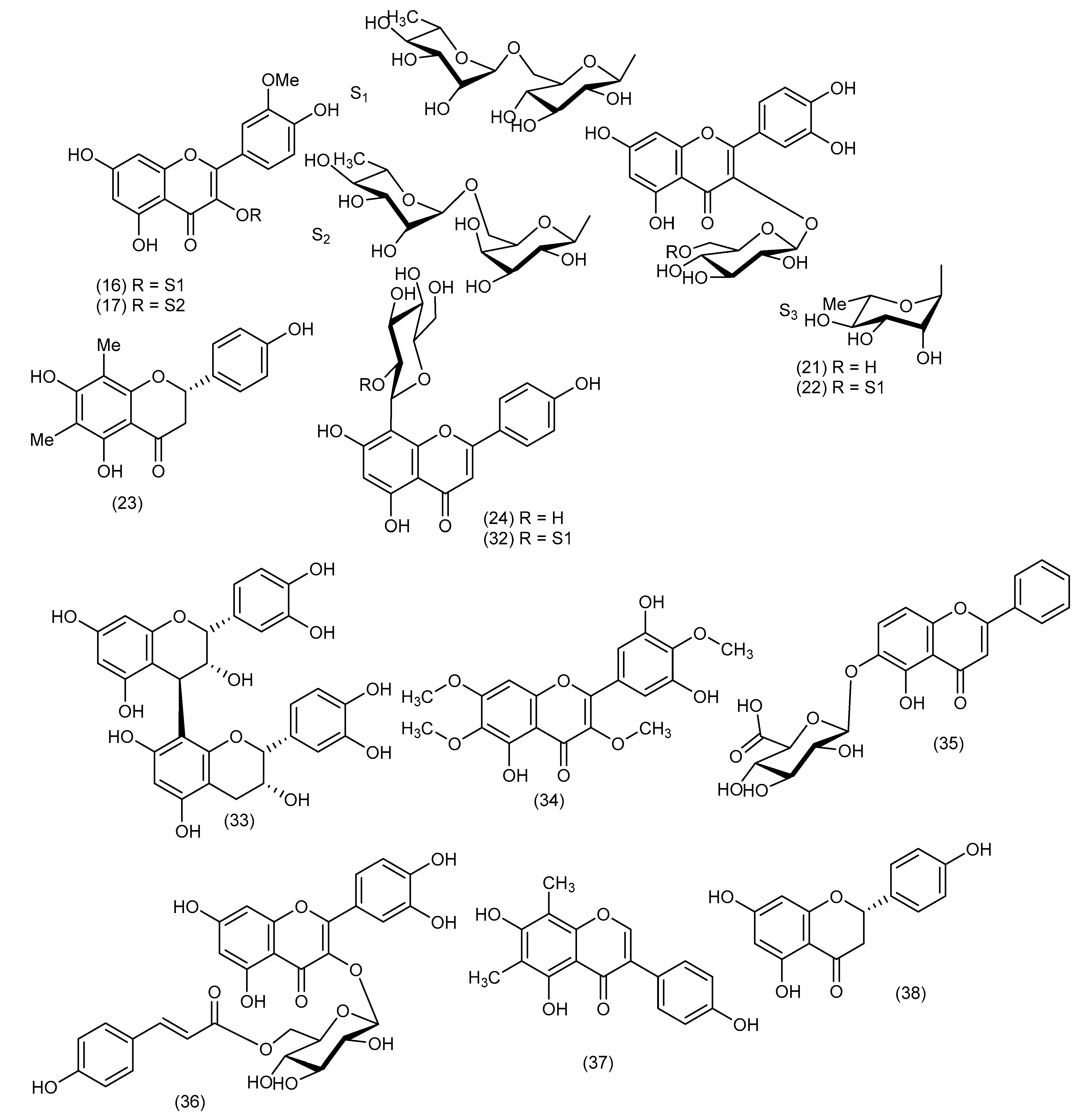 Biomolecules 13 01783 g004a Biomolecules 13 01783 g004a