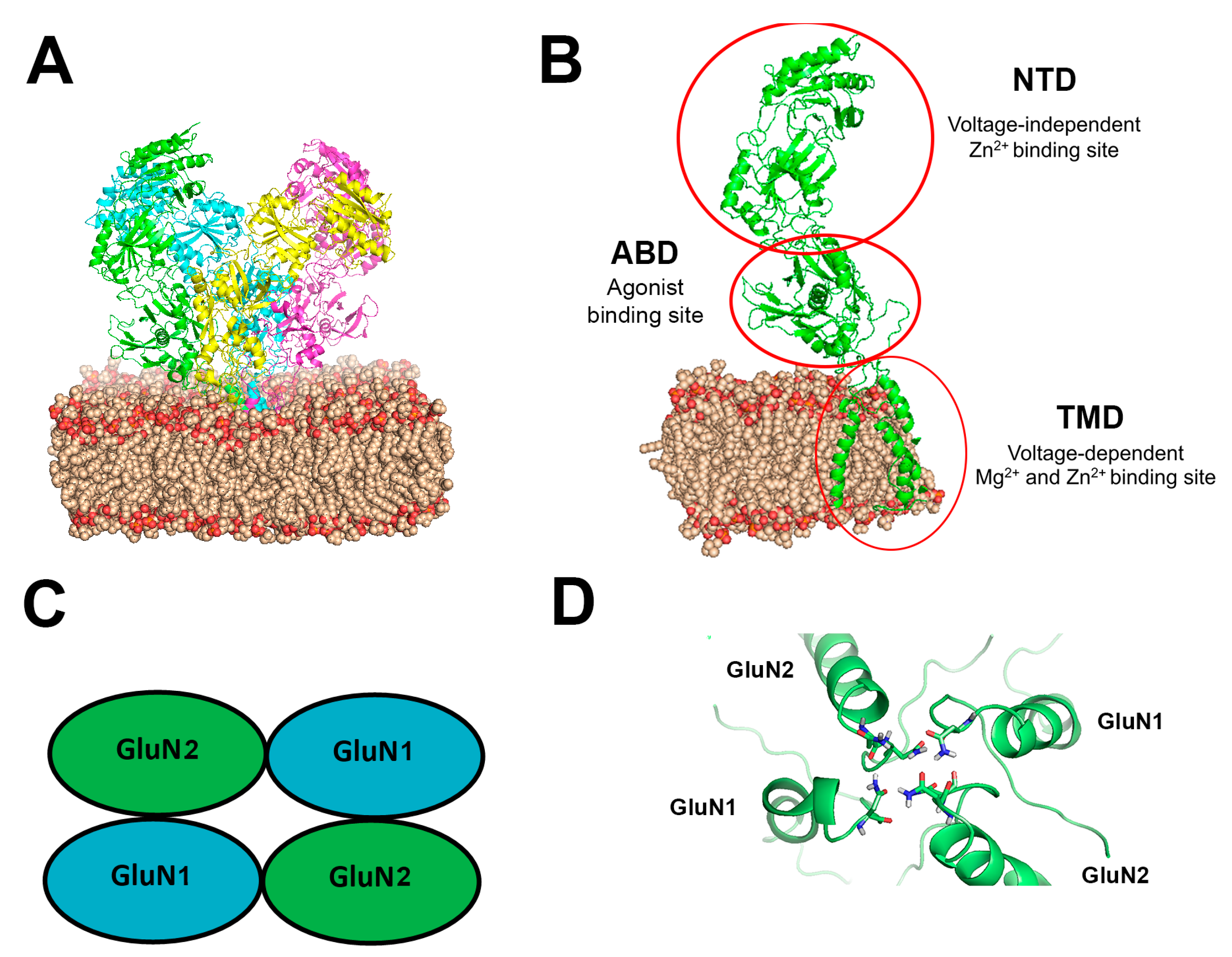 Biomolecules 13 01786 g001