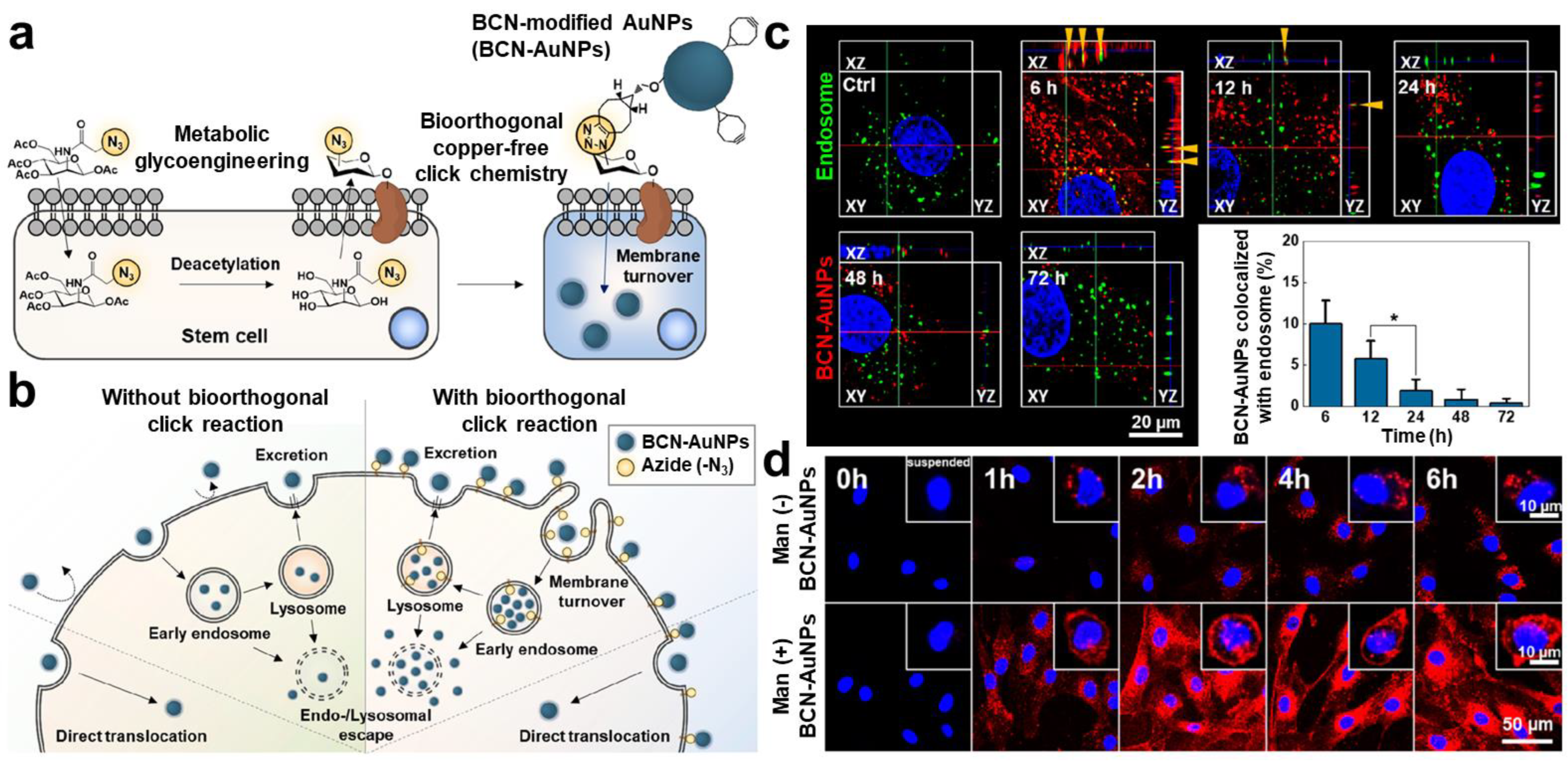 Biomolecules 13 01787 g002