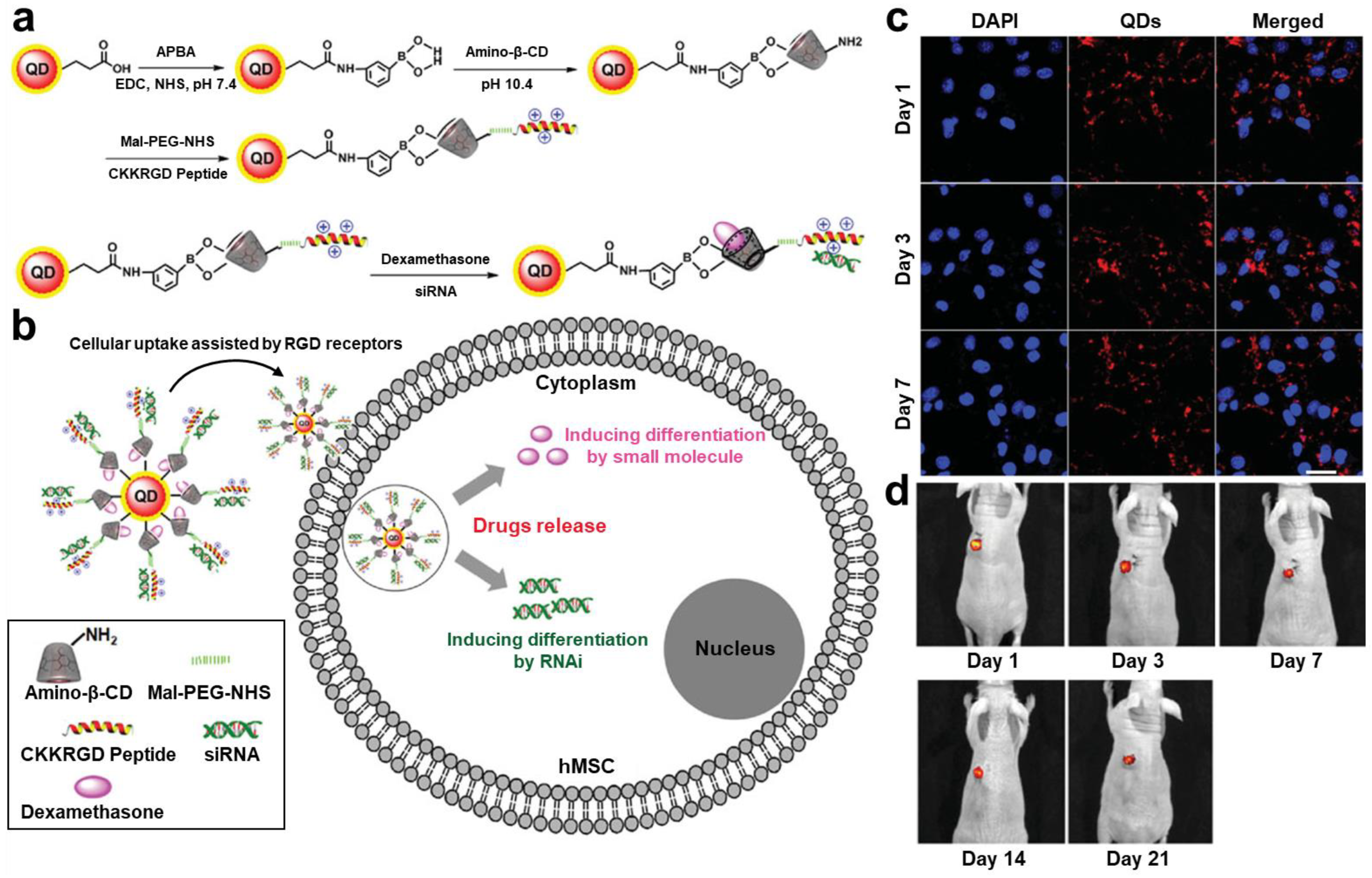 Biomolecules 13 01787 g003